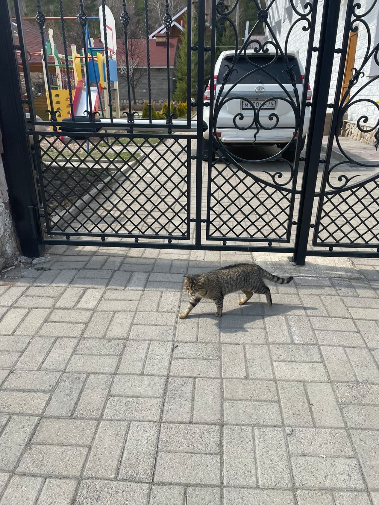 Фото Арслан