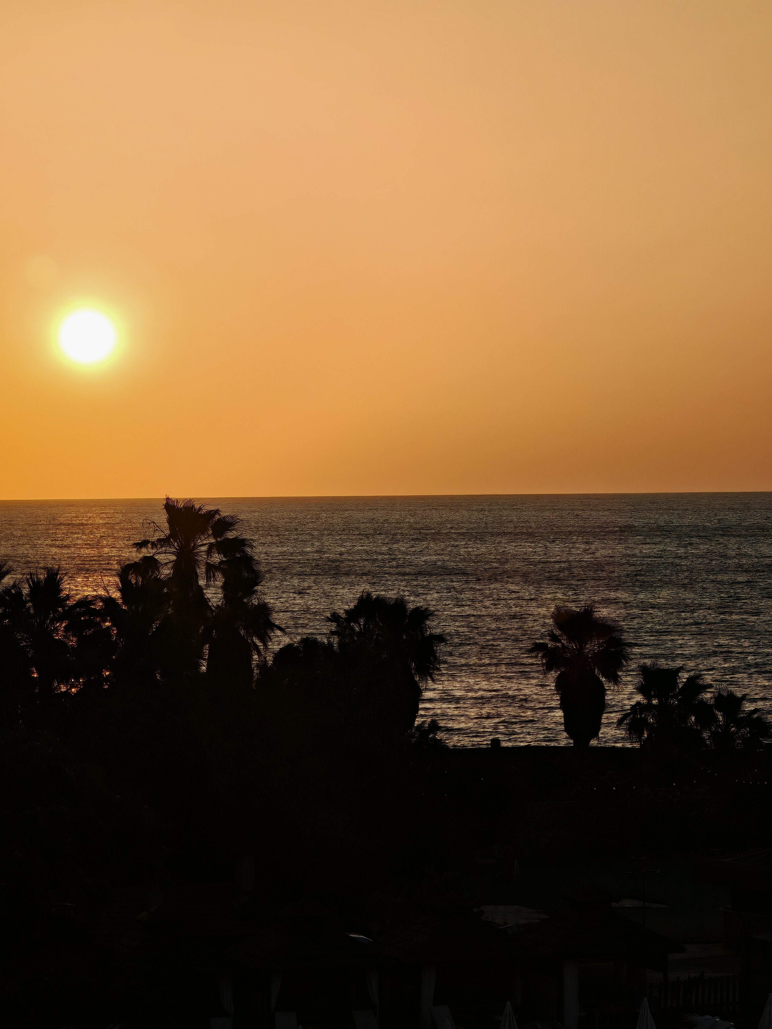 Фото Manolya Hotel