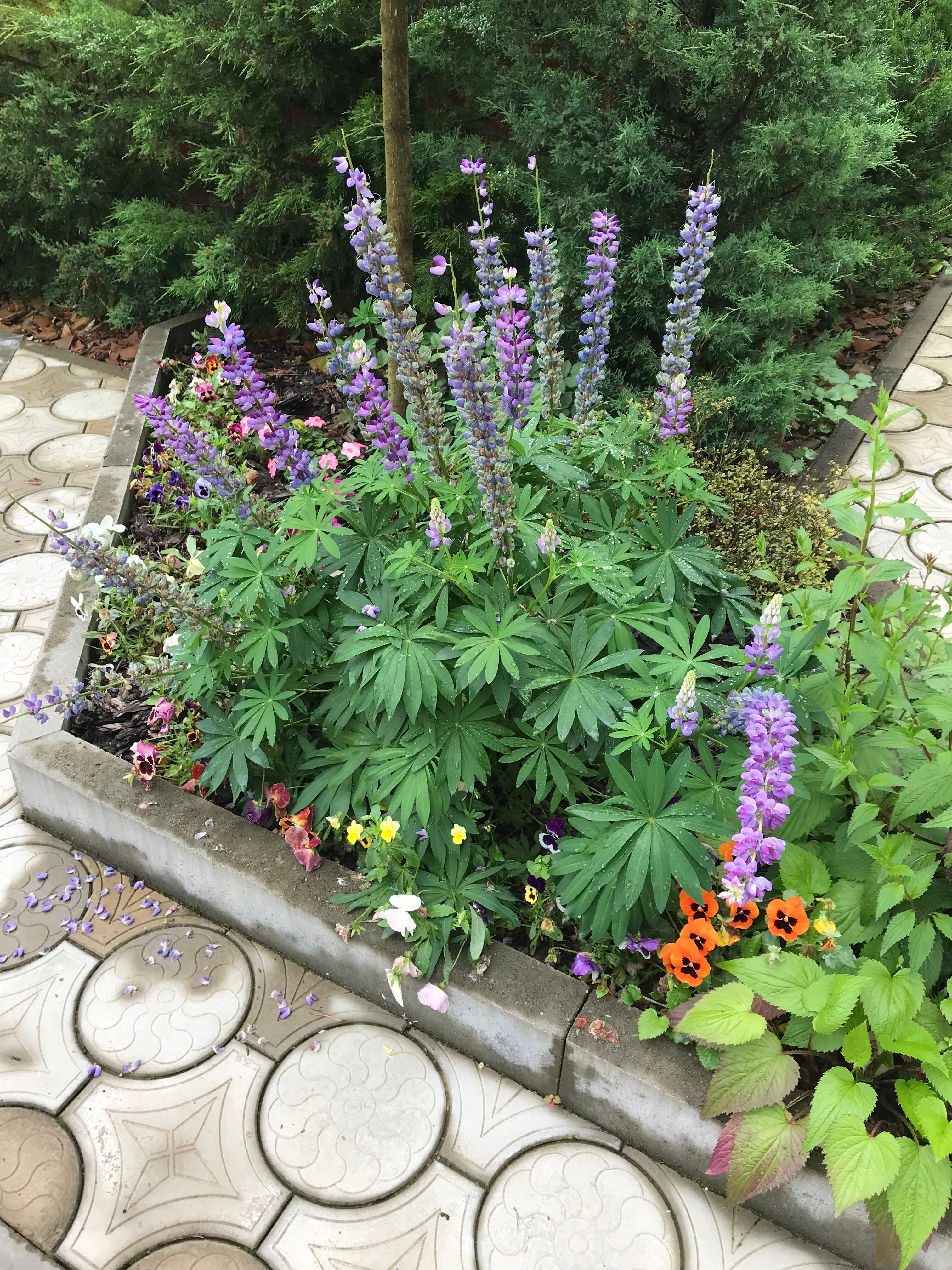 Фото Прохладный