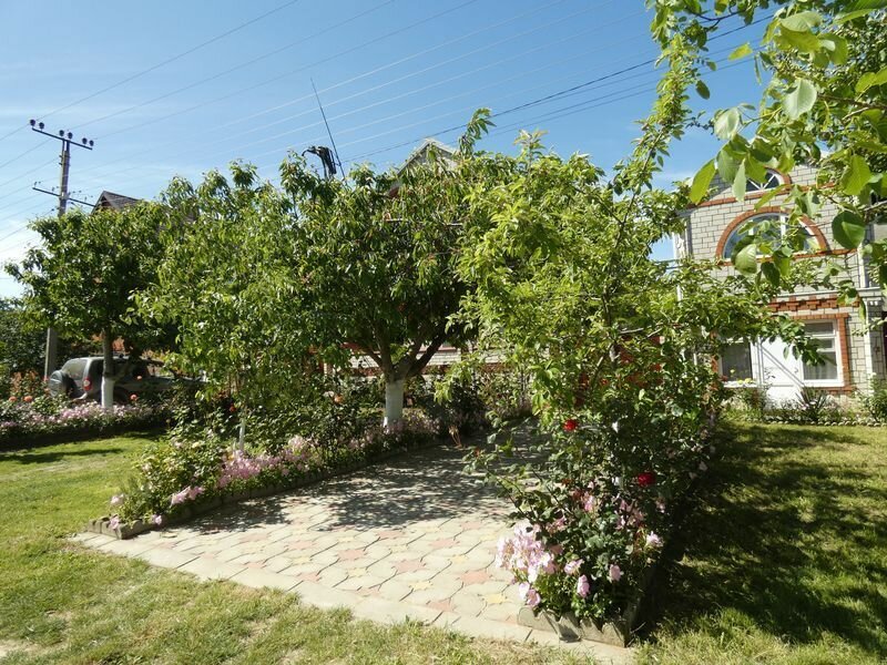 Фото Марина