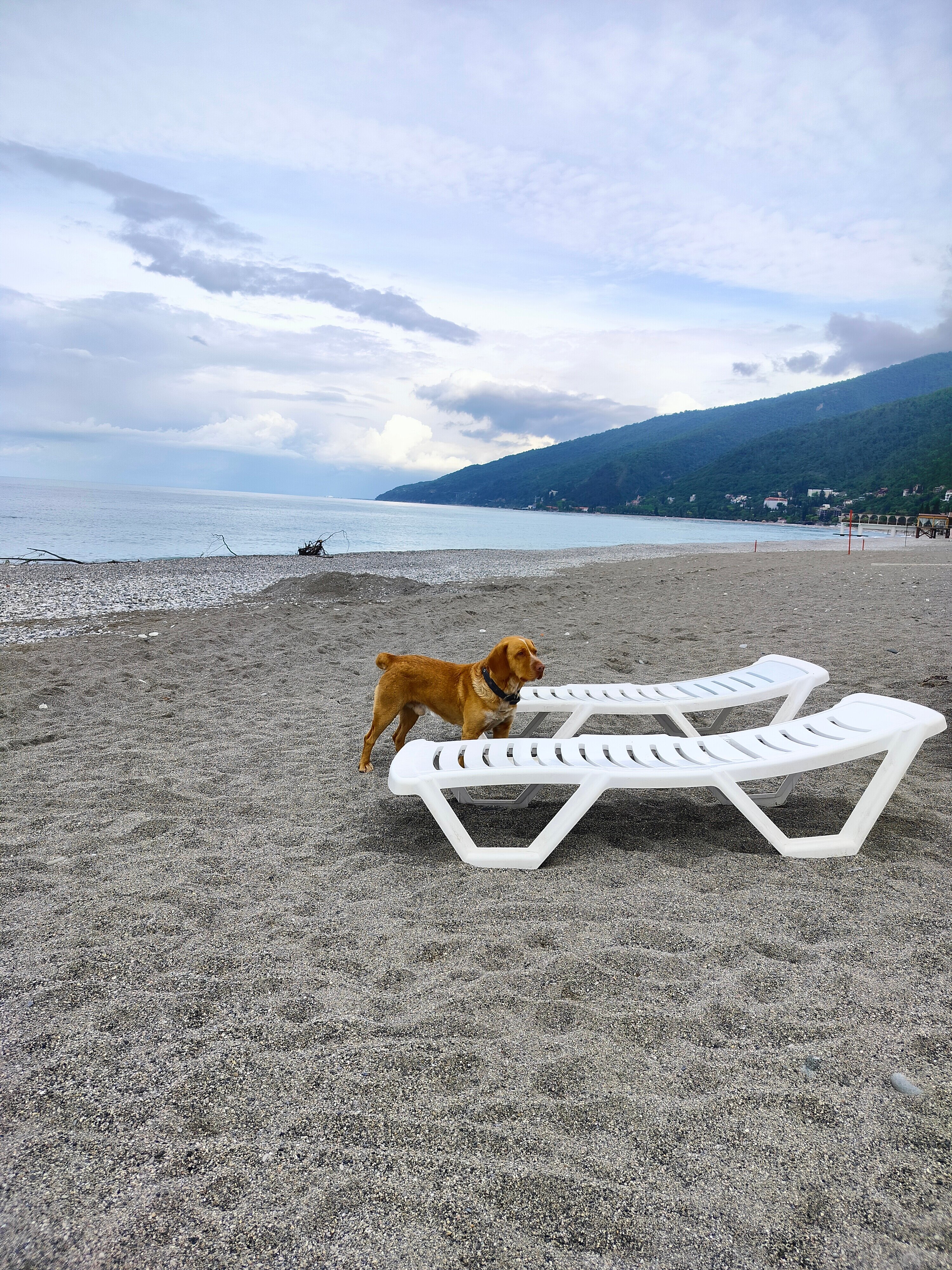 Фото Дом отдыха им. Челюскинцев