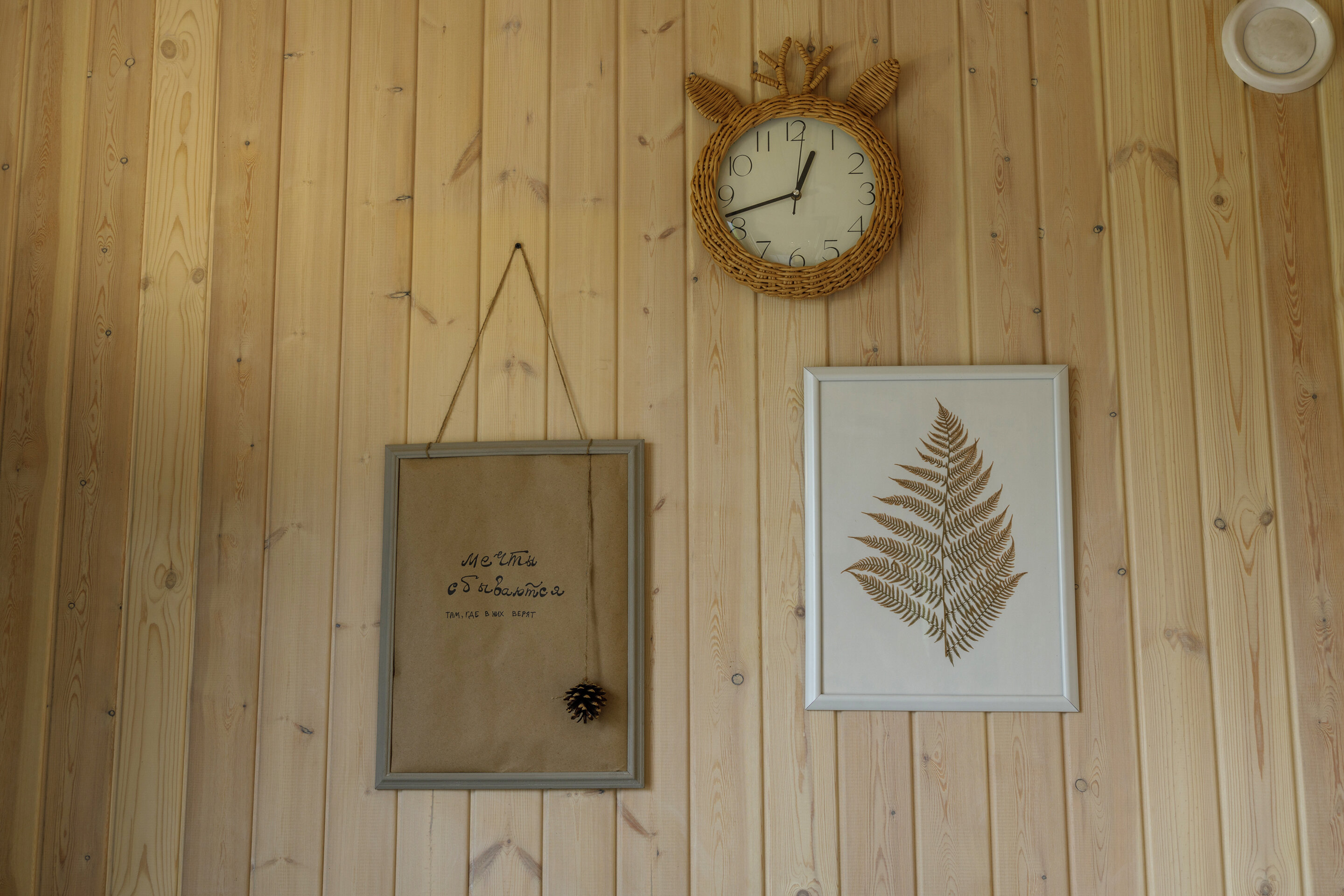 Фото Чайное гнёздышко