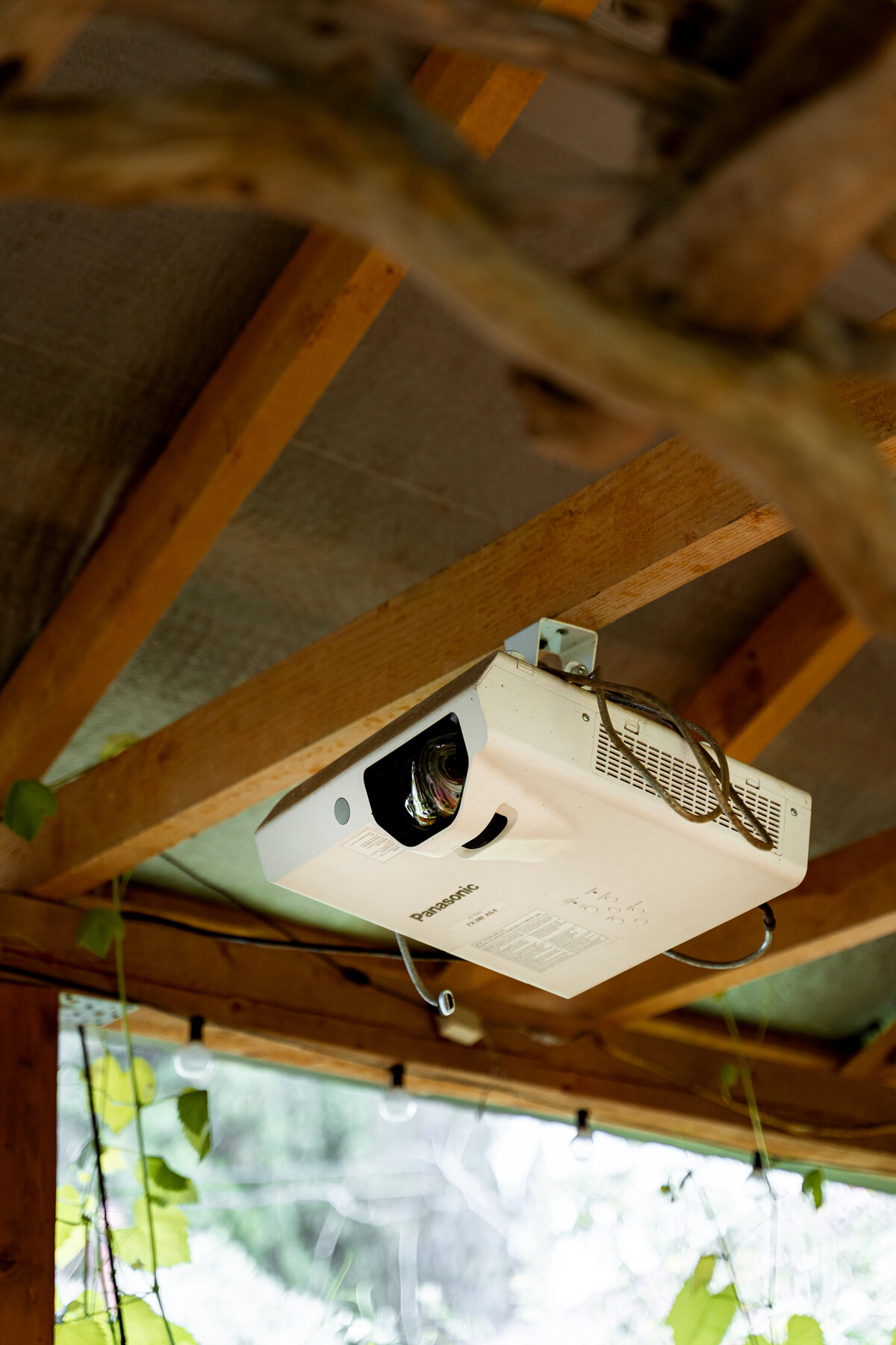 Фото Гостевой дом Кипарис