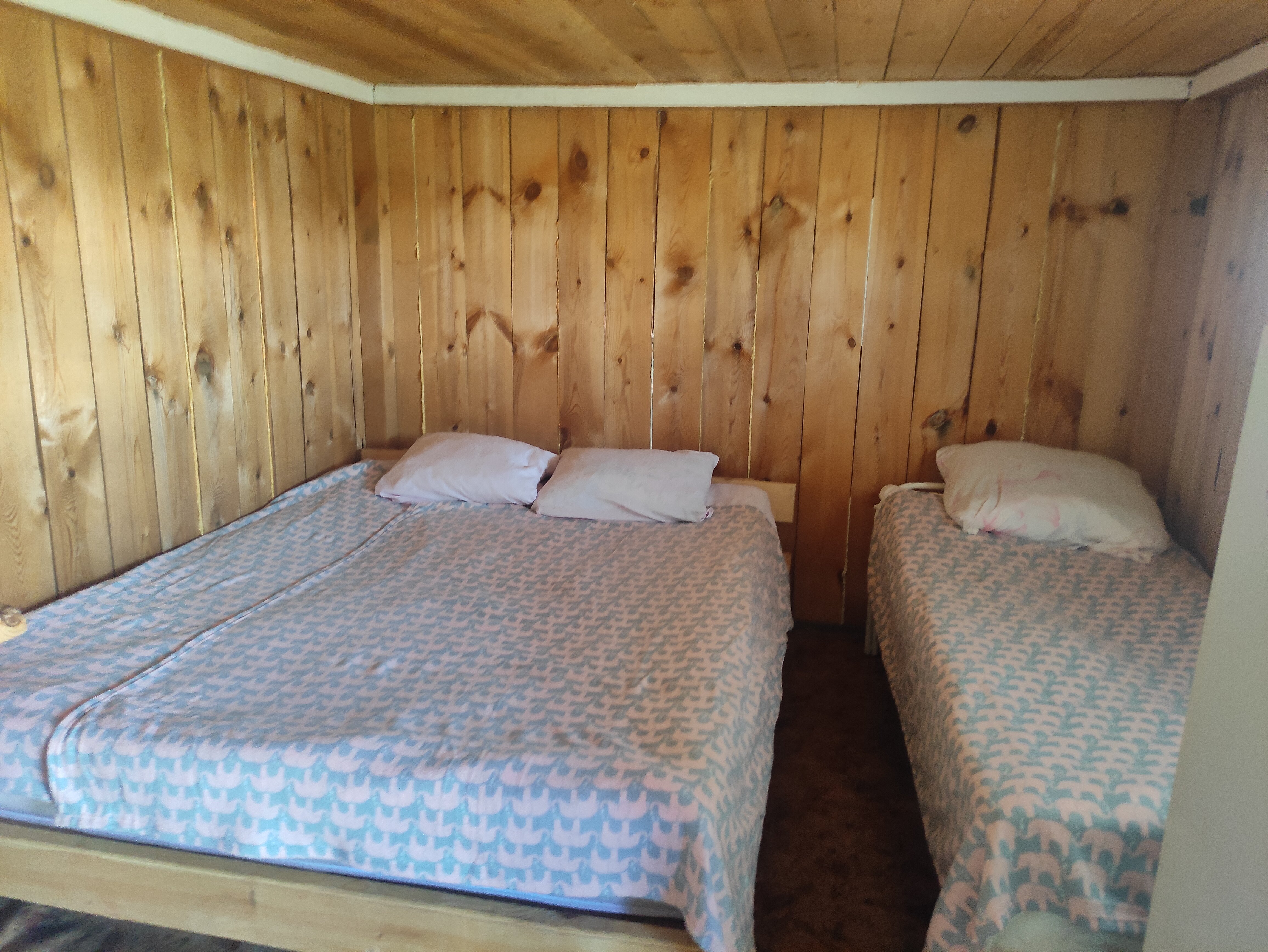 Фото Холодок