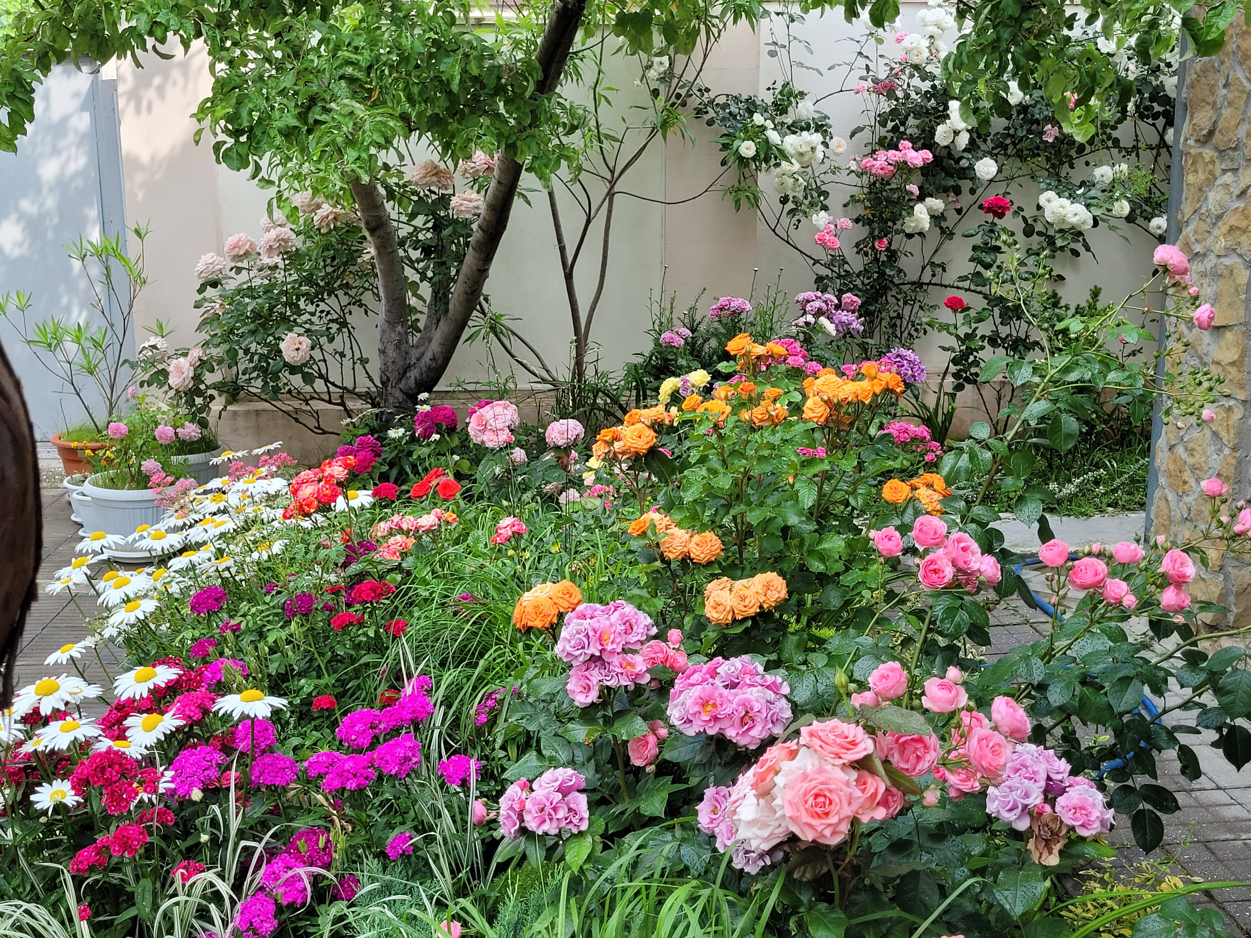 Фото Друзья