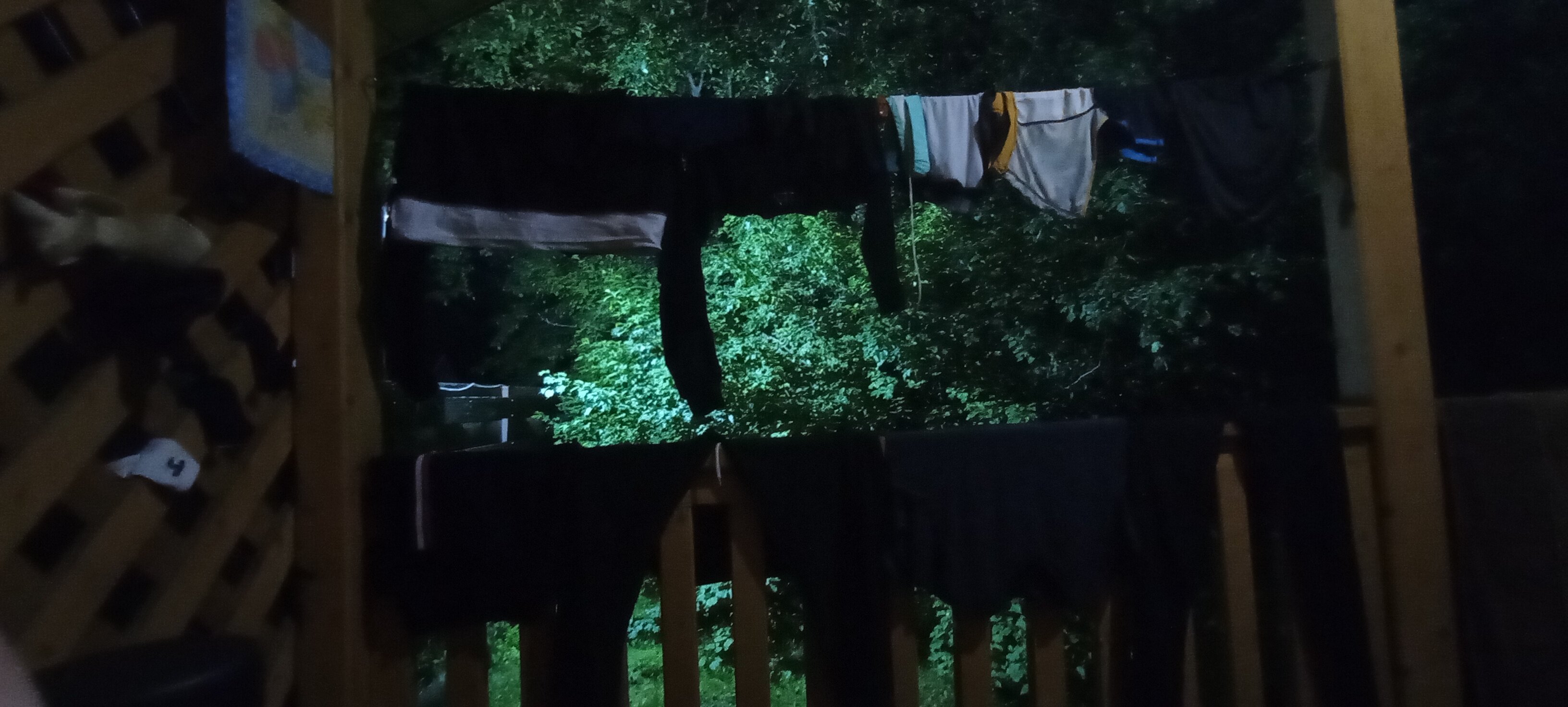 Фото Чемальское лето