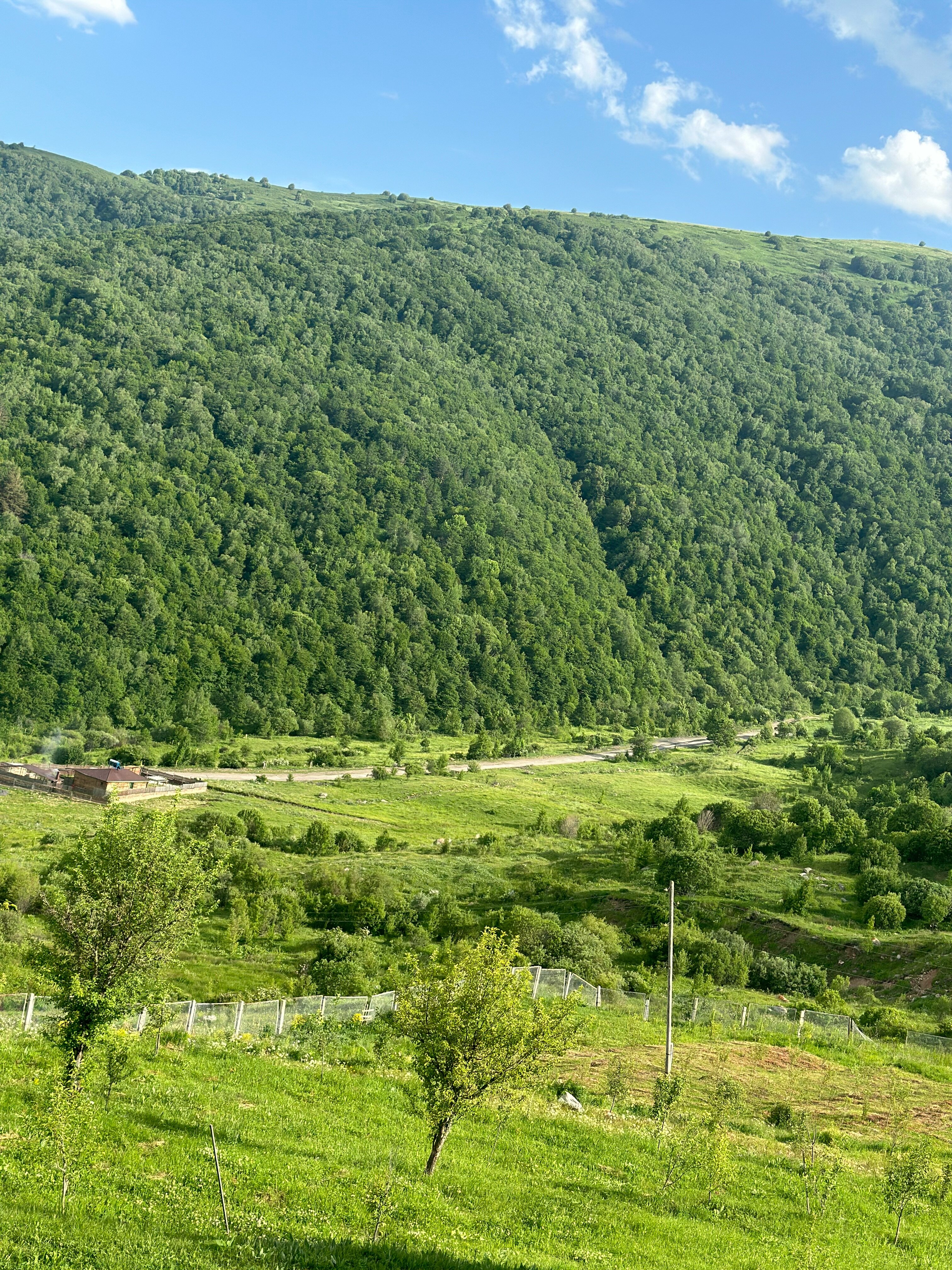 Фото 156473314536