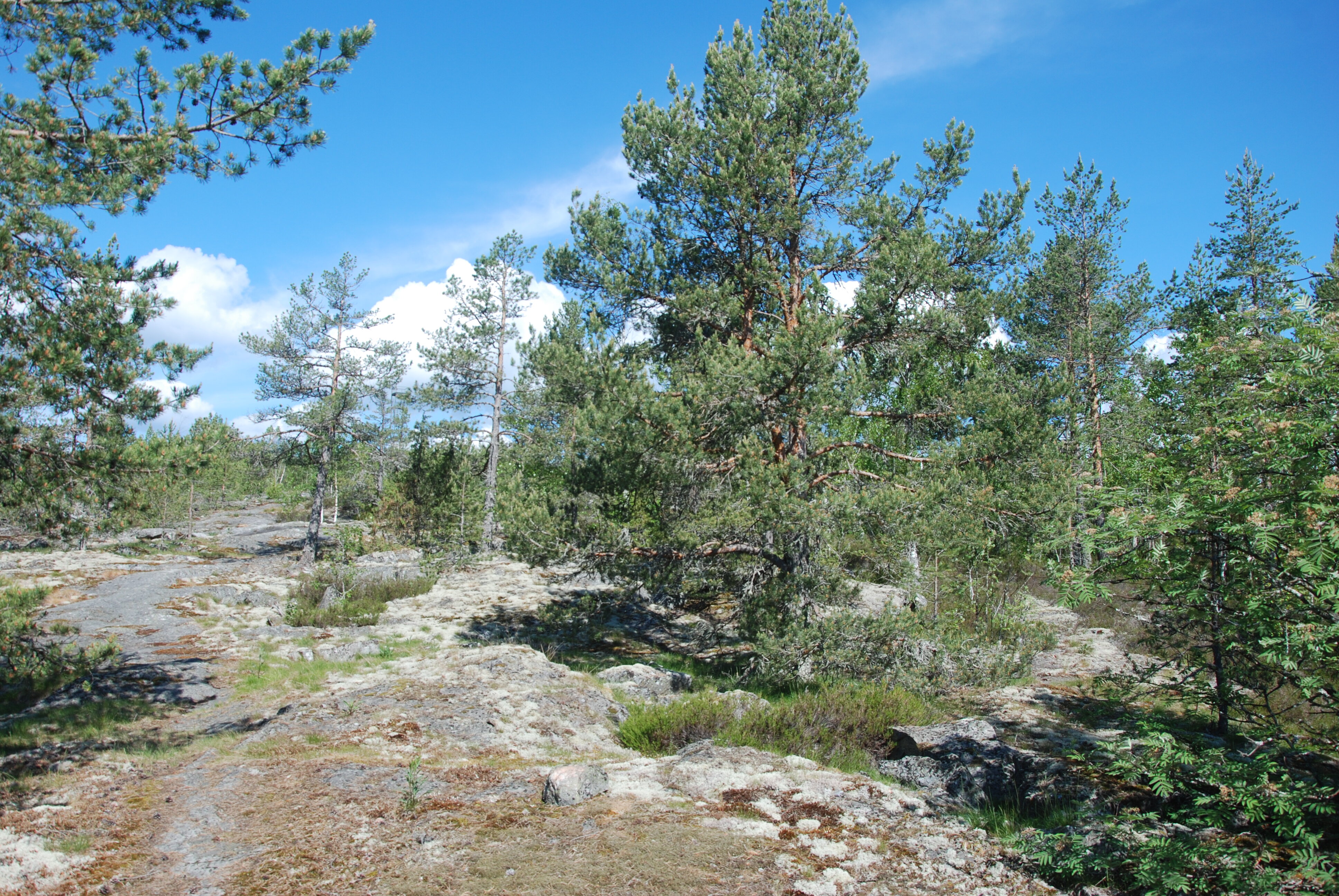Фото Турбаза Вятиккя