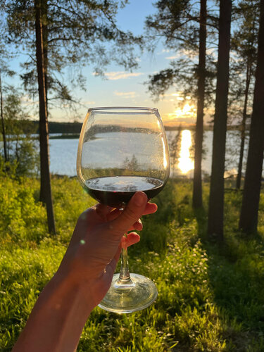 Иное жильё Медвежья Лапа в Суоярвском районе