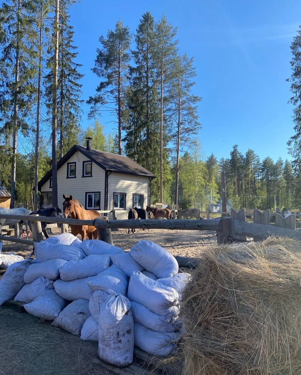 Фото Teplo House