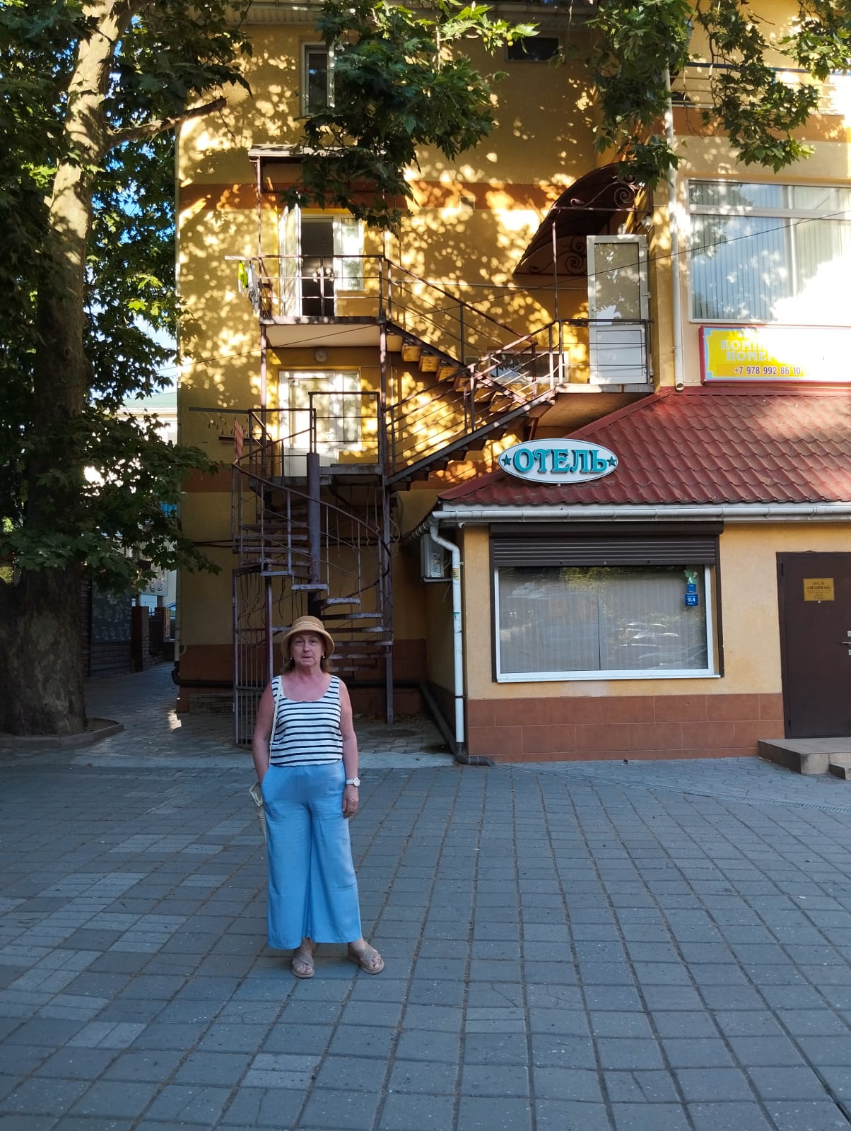 Фото Пеликан