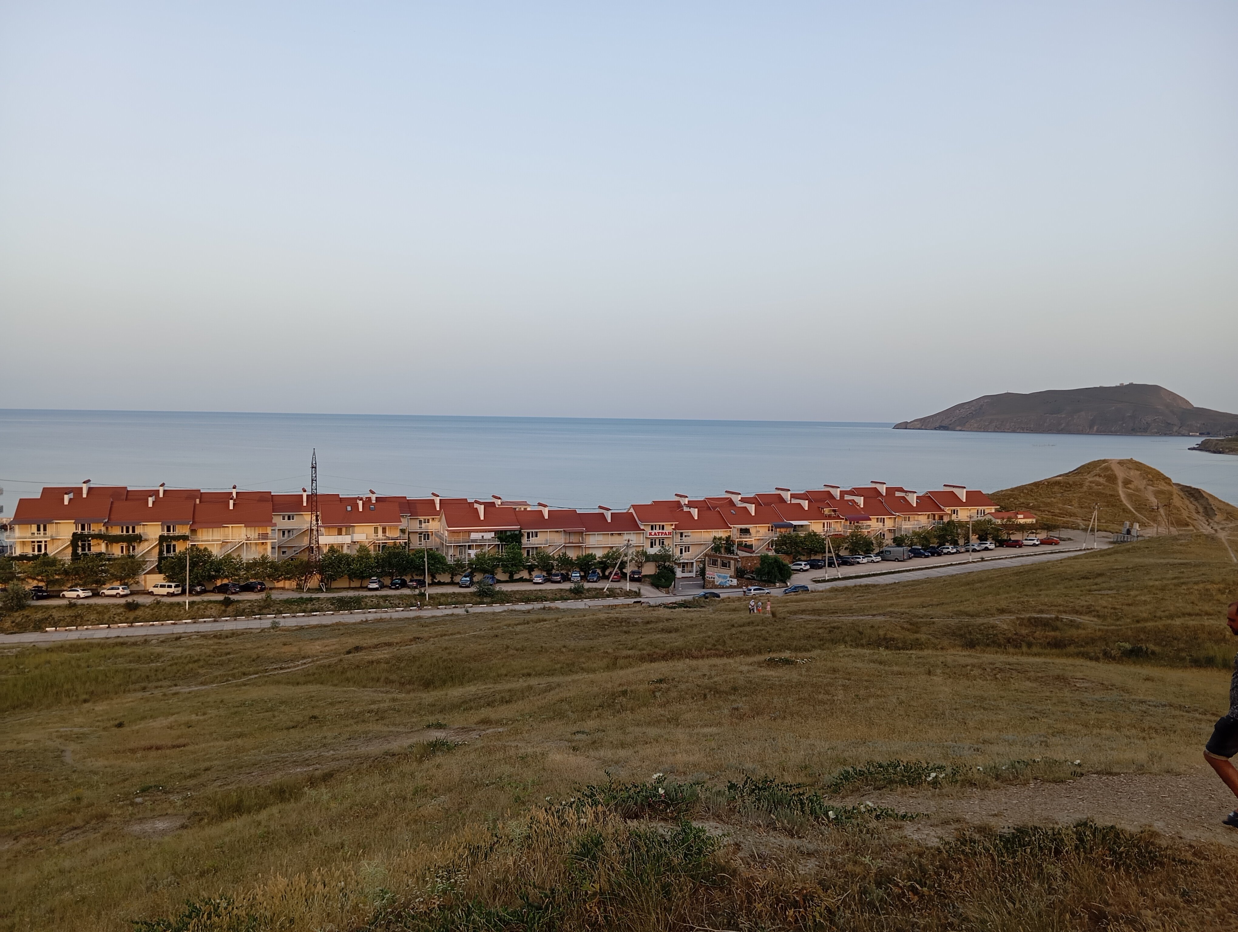 Фото Эллинг у Зои