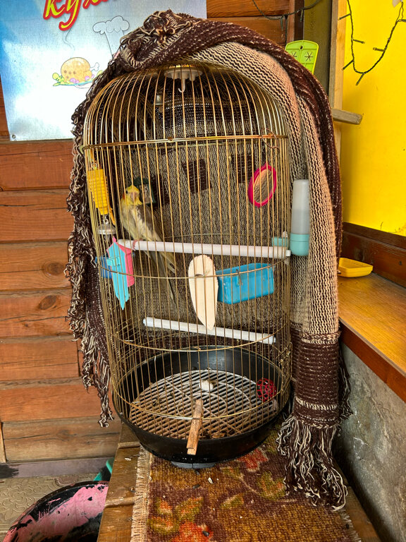 Фото Горная Антавия