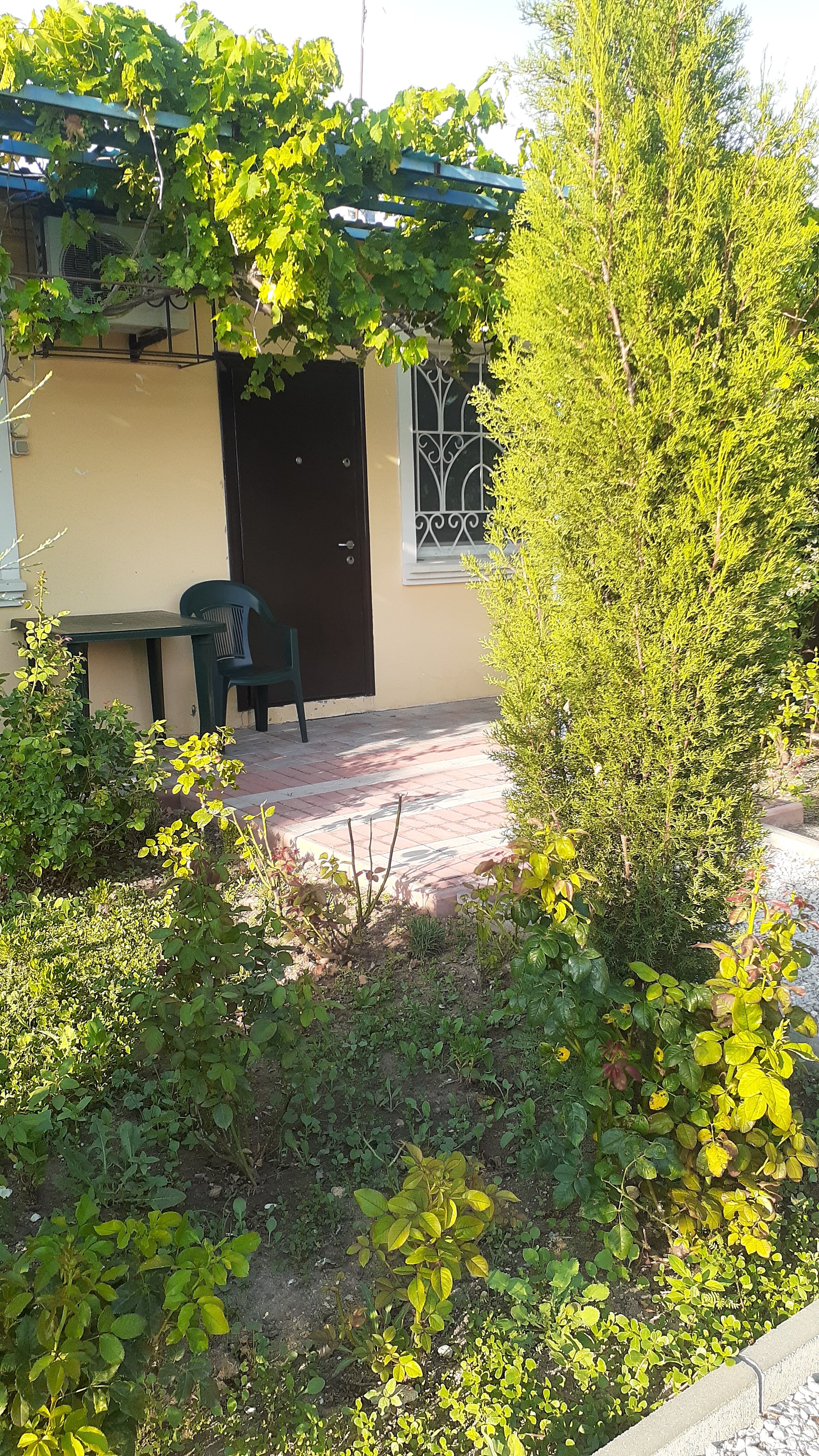 Фото Морская сказка