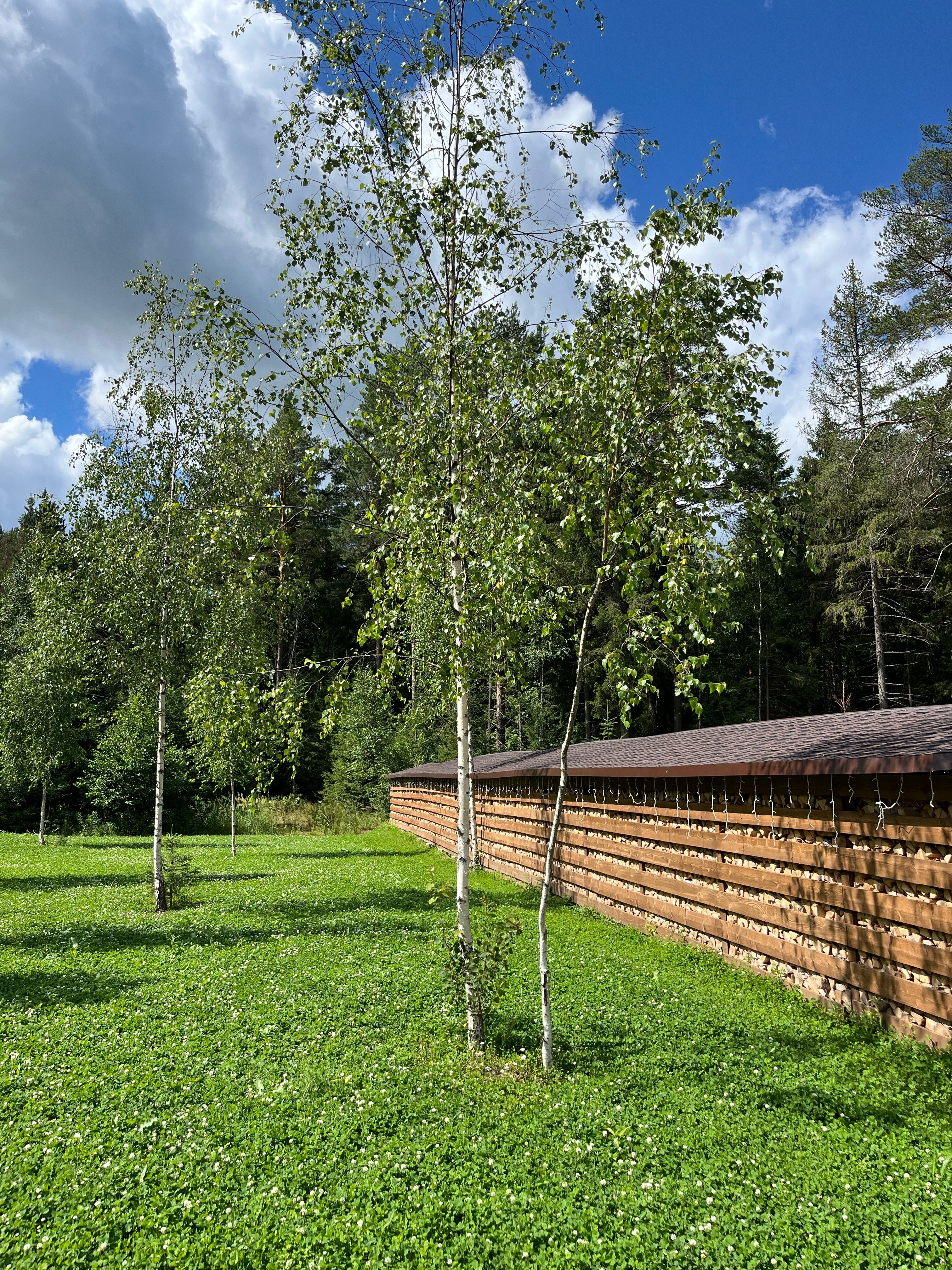 Фото Винни-Вилла