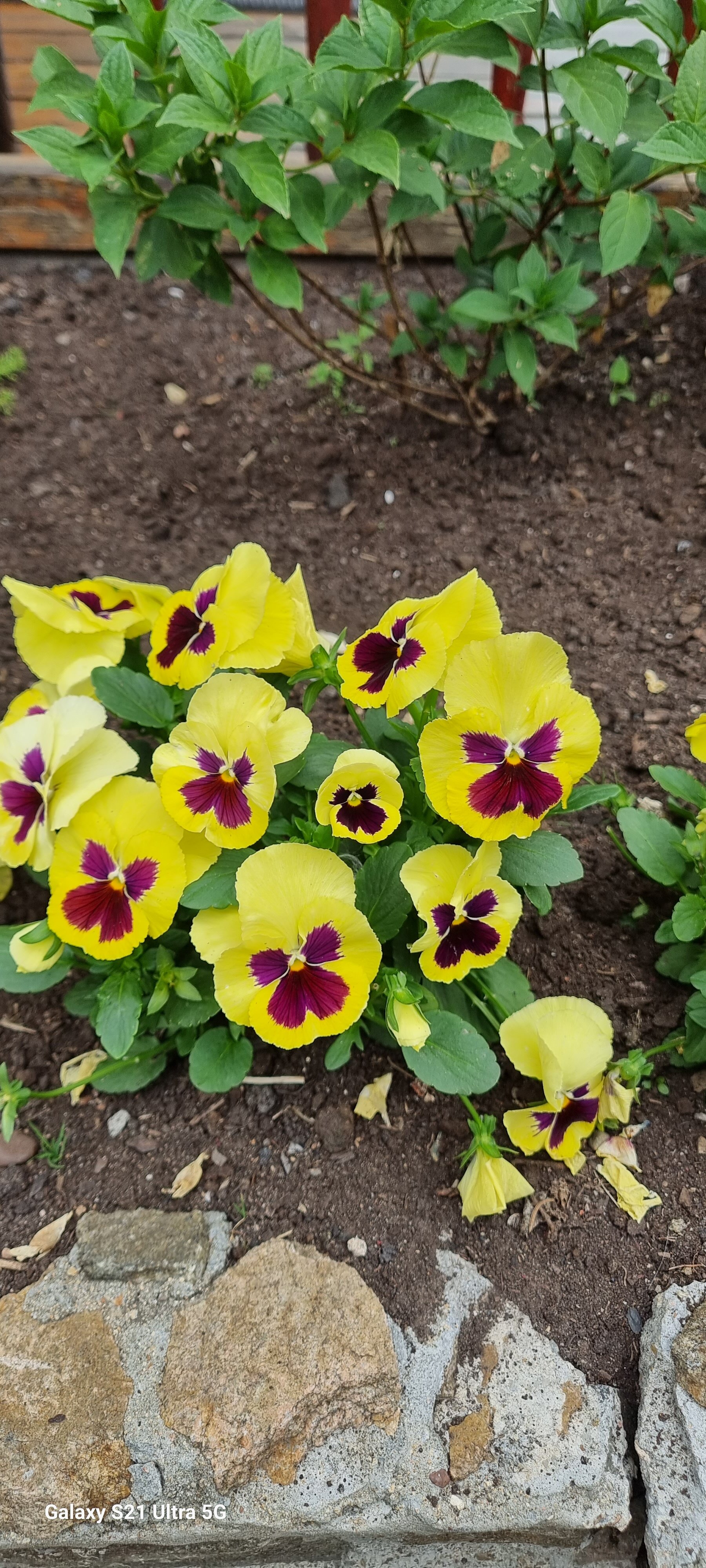 Фото Усадьба Еремеевых