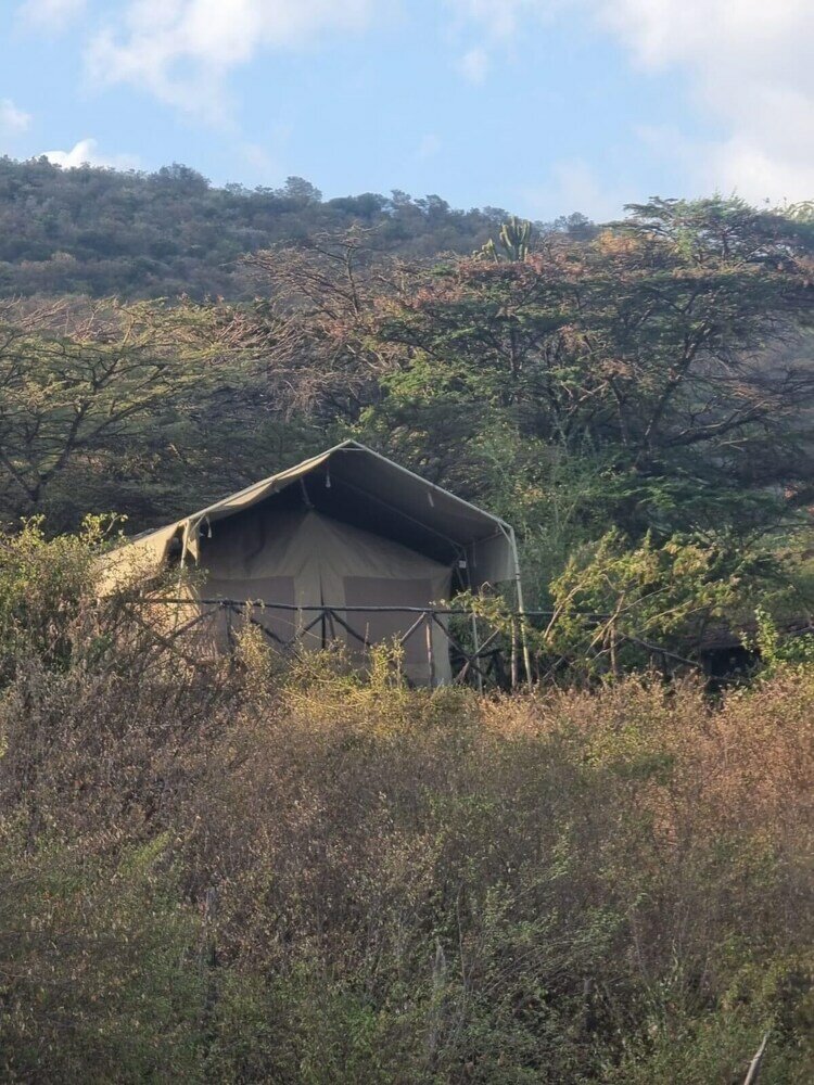 Фото Sunset camp Masai Mara