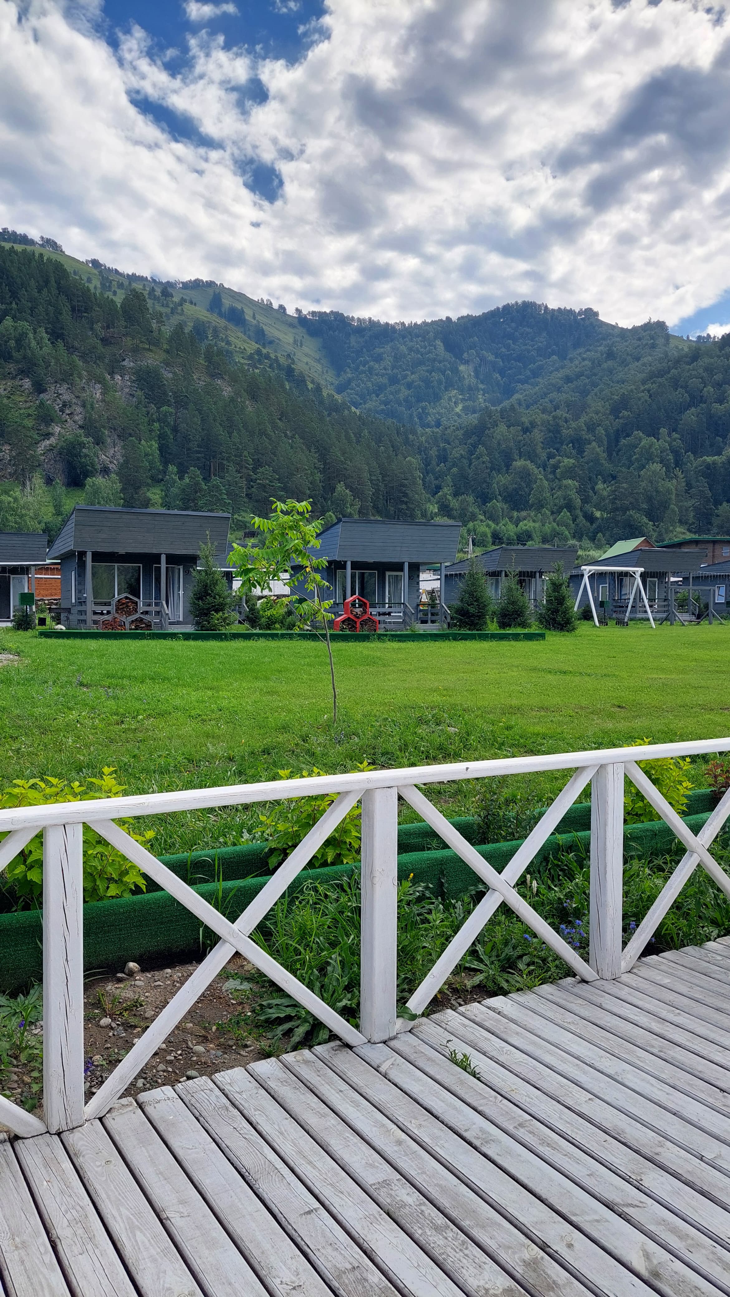 Фото Алтай Лотос