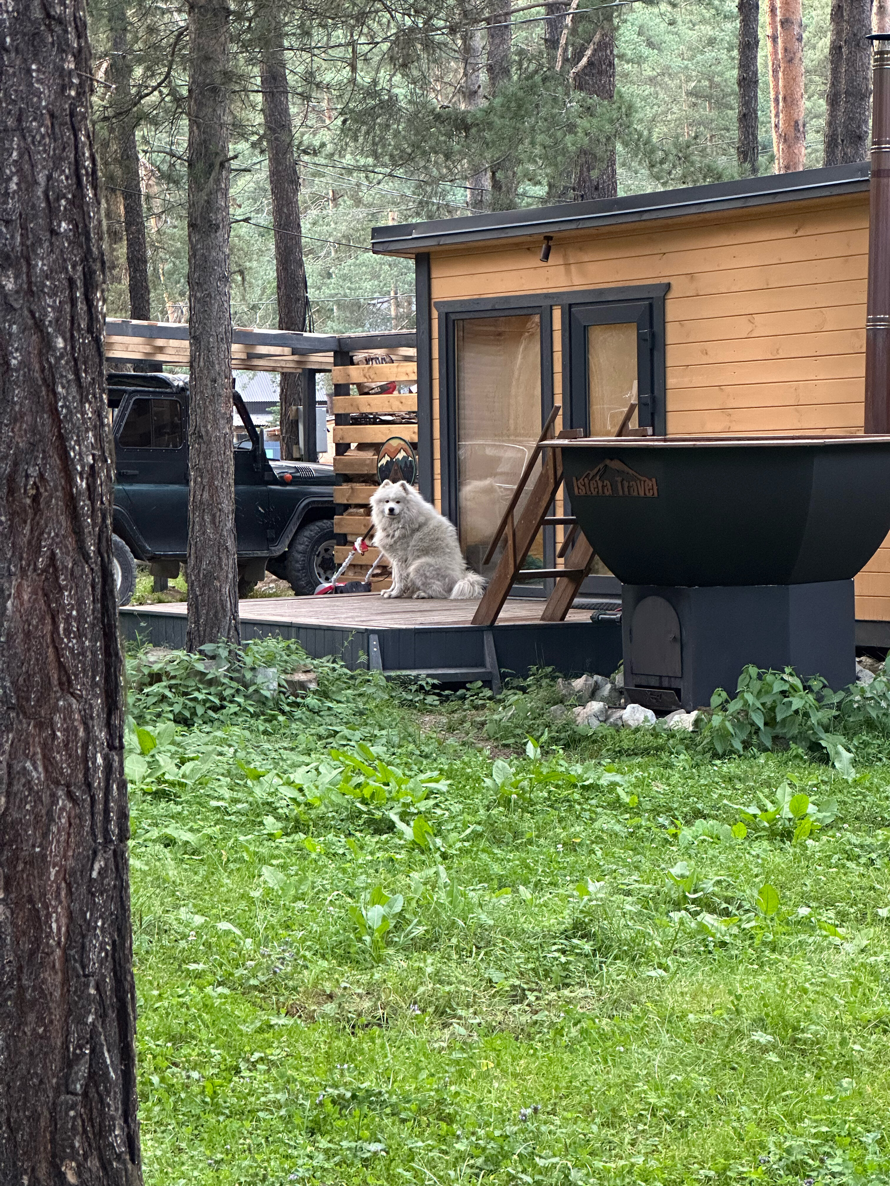 Фото Истера трэвл