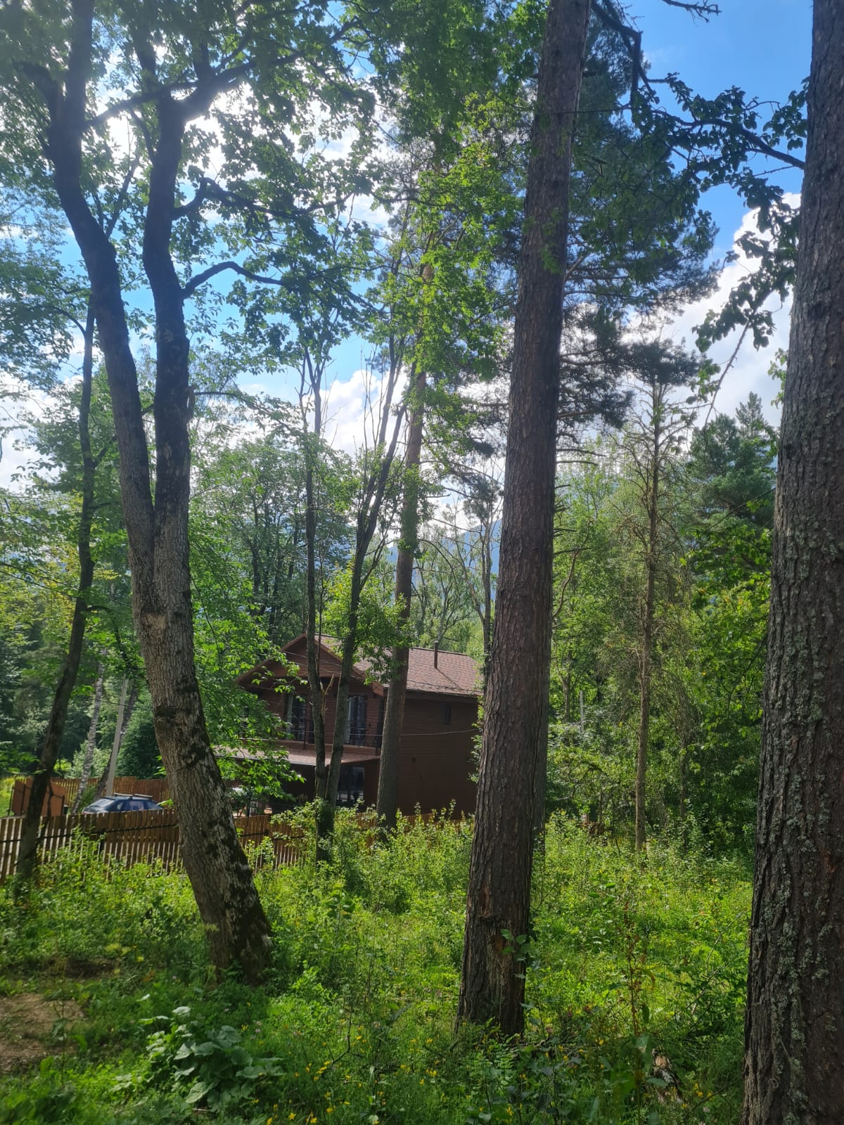 Фото Villa Elena