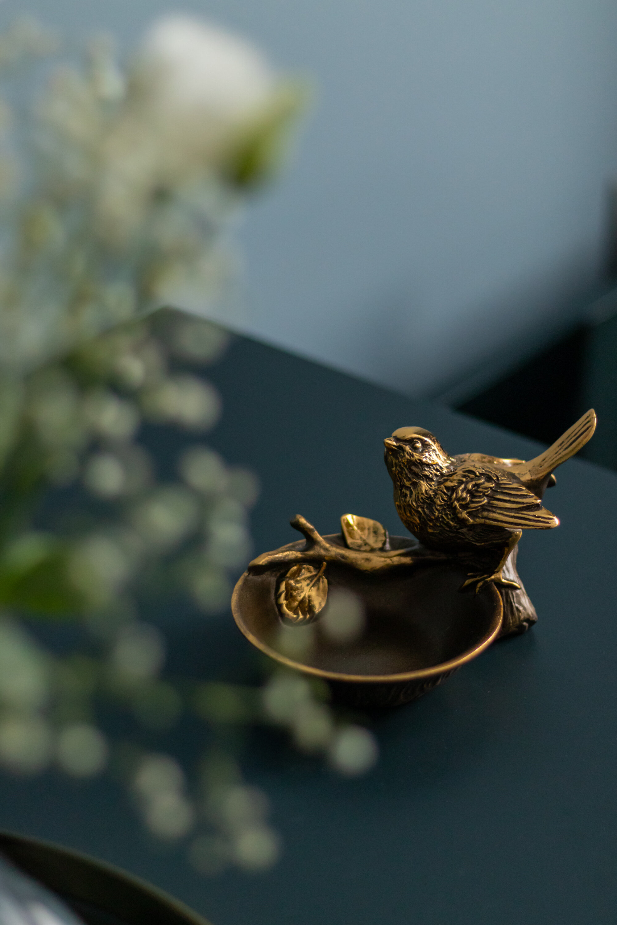 Фото Синяя птица