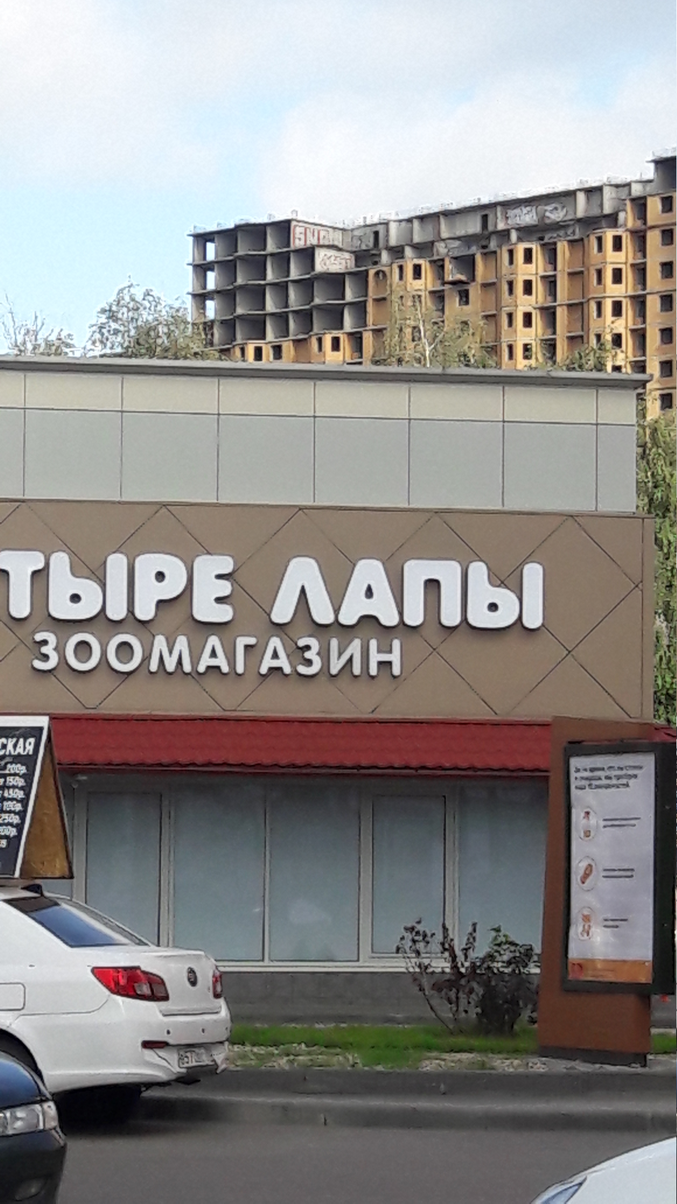 Четыре Лапы - фото 5