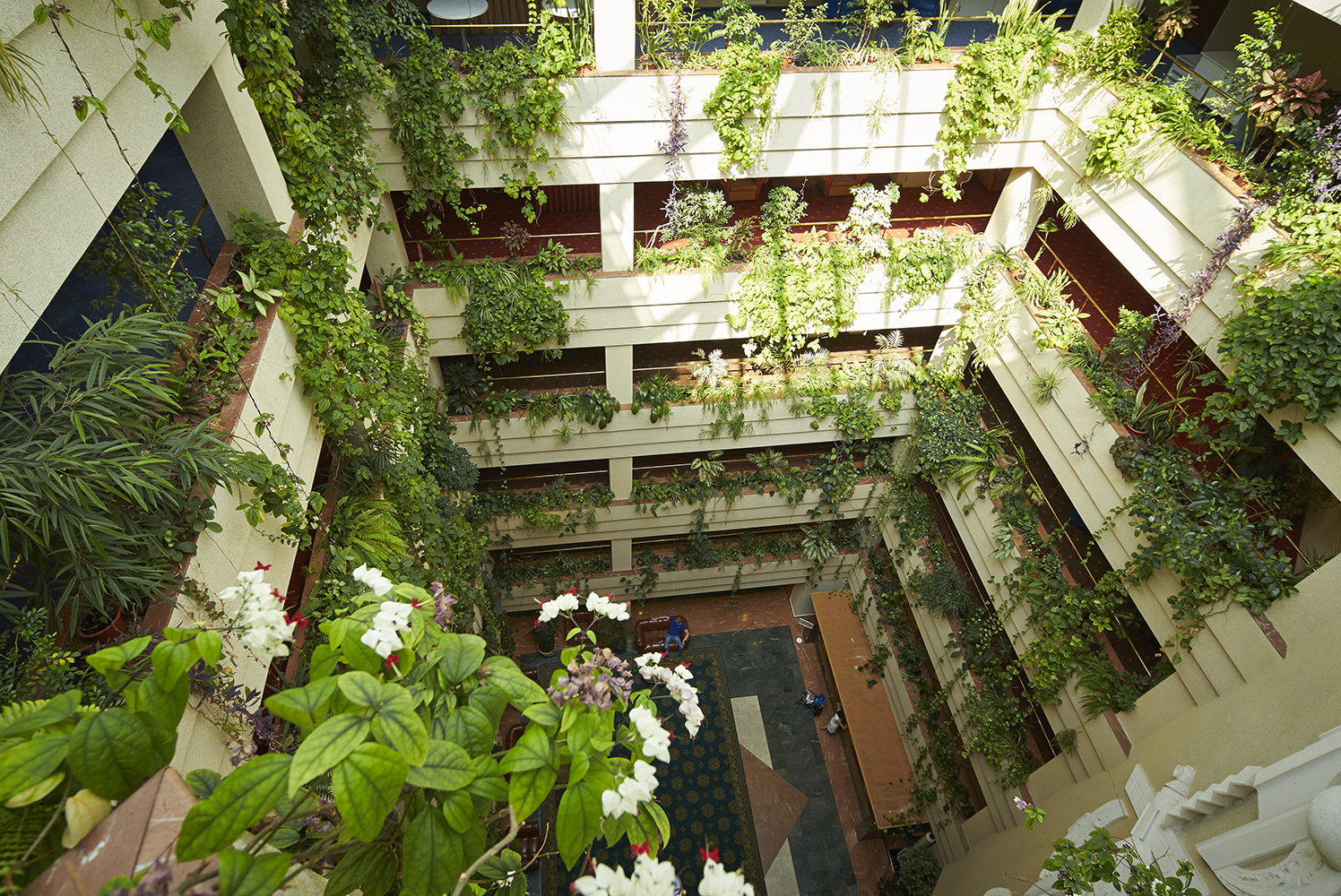 Фото Протон