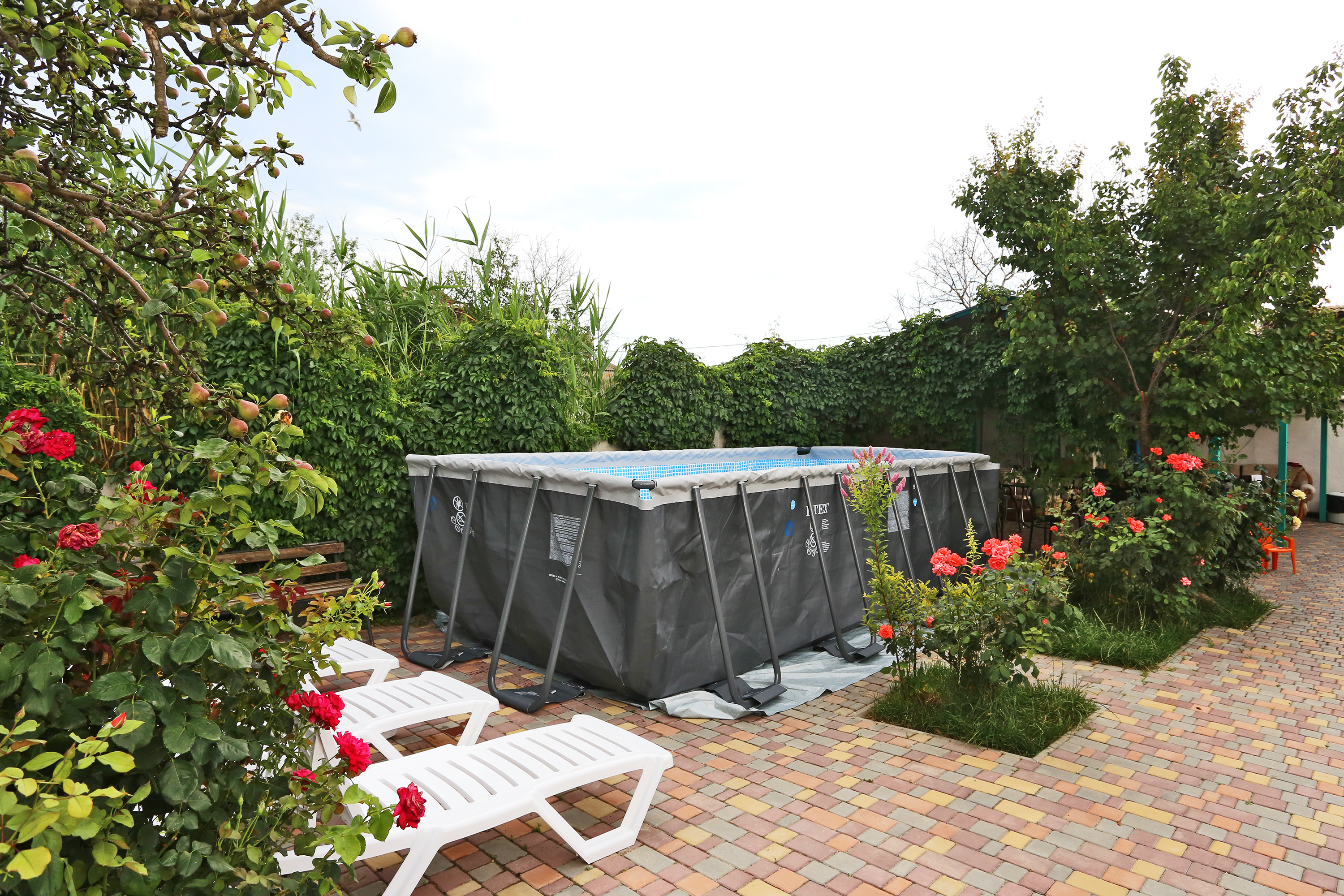 Фото У Алексея