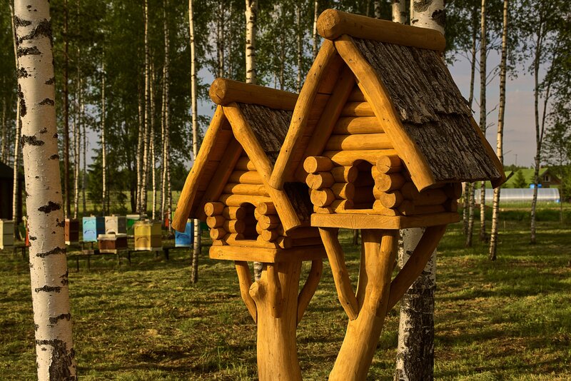 Мазаная Горка — фото 24
