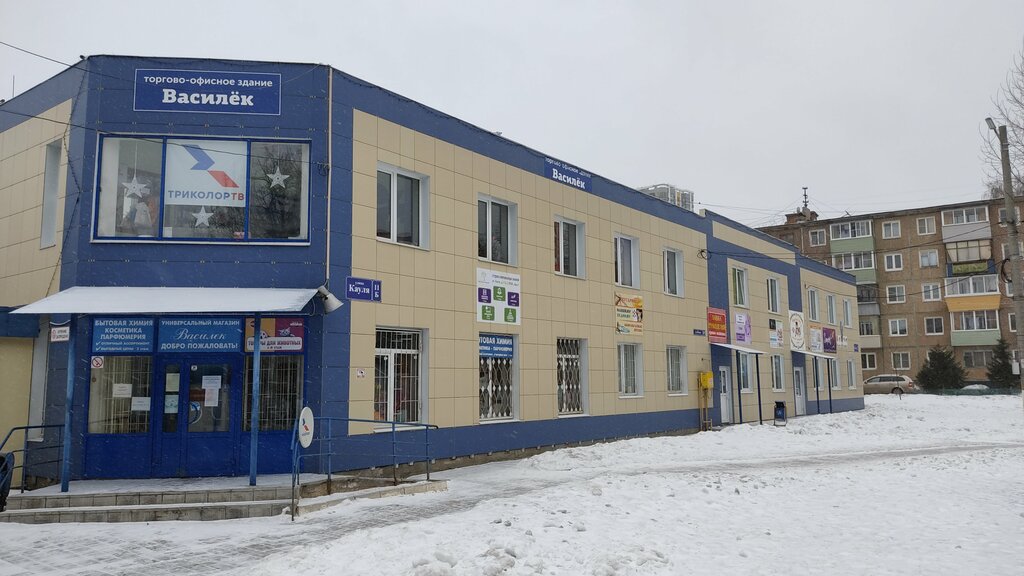 Торговый центр Василёк, Тула, фото