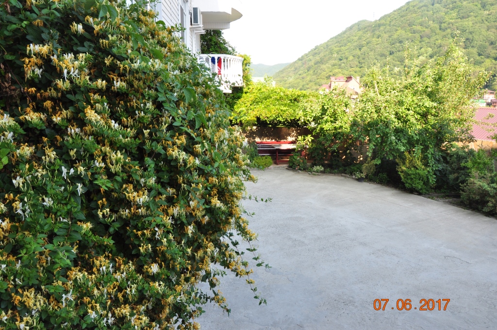 Фото Мармари