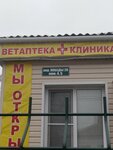 Ветклиника (pereulok Pobedy, 20), clínica veterinaria