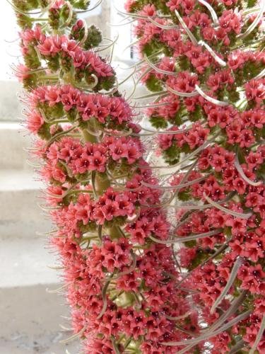 Фото Hotel Germán