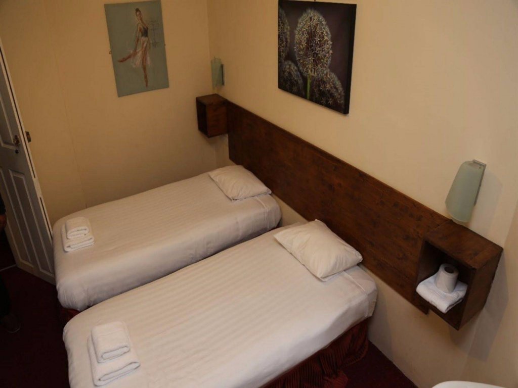 Фото Casuarina Tree