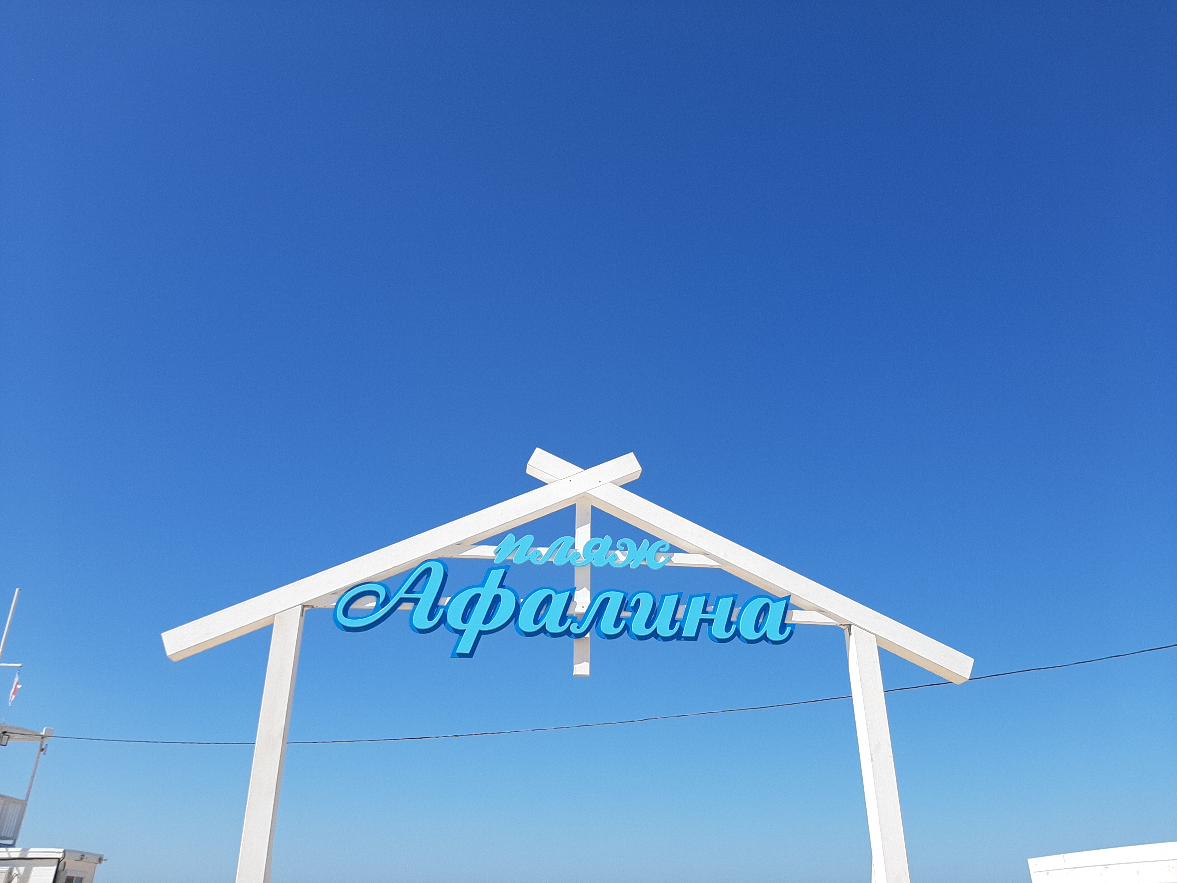 Фото Афалина