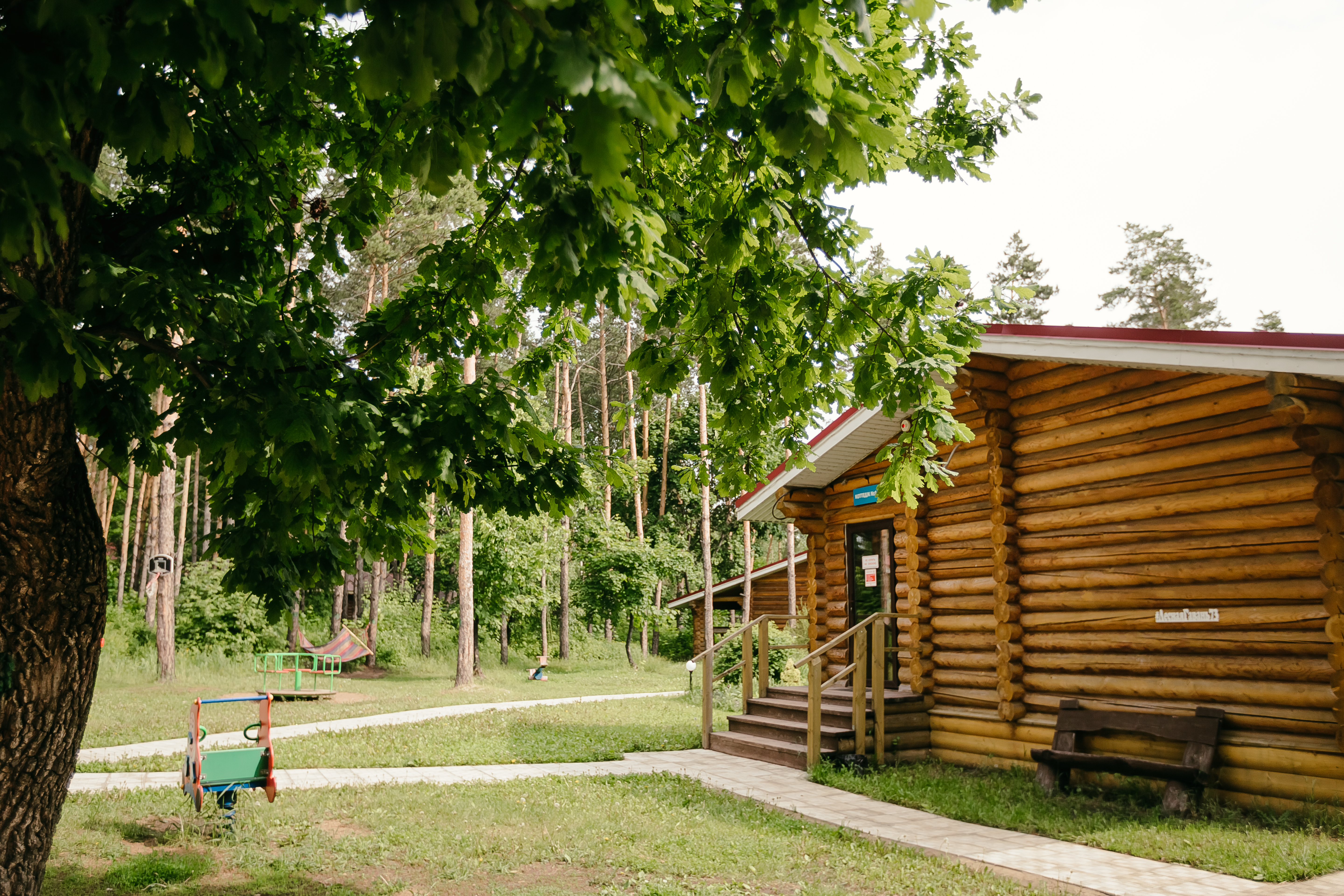 Фото Лесная гавань