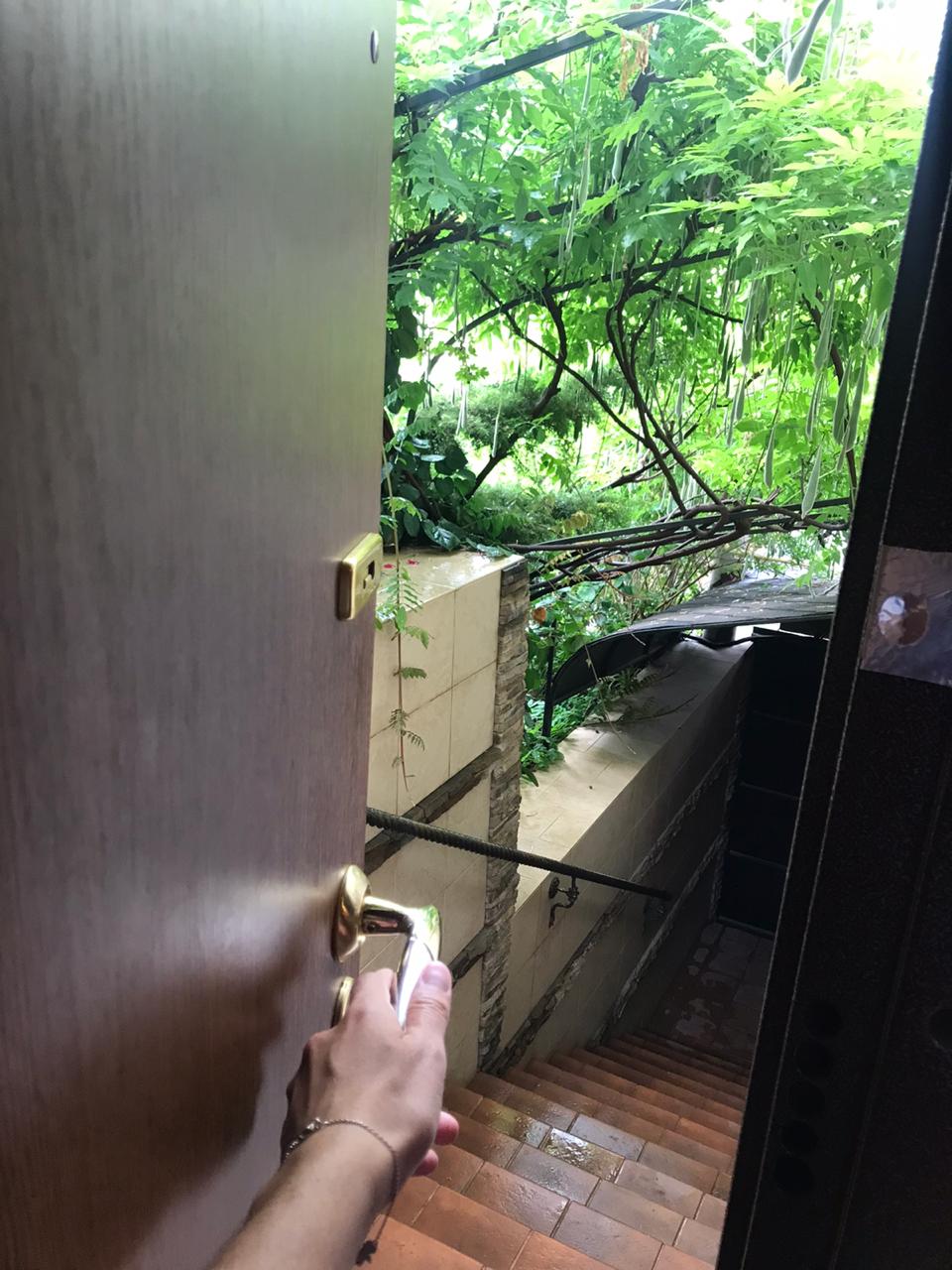 Фото Кипарис