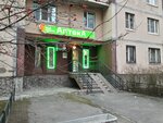 Панацея (Kamyshovaya Street, 3к1), farmacia