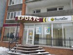 Крокус (Pobedy Street, 40) ، متجر ملابس
