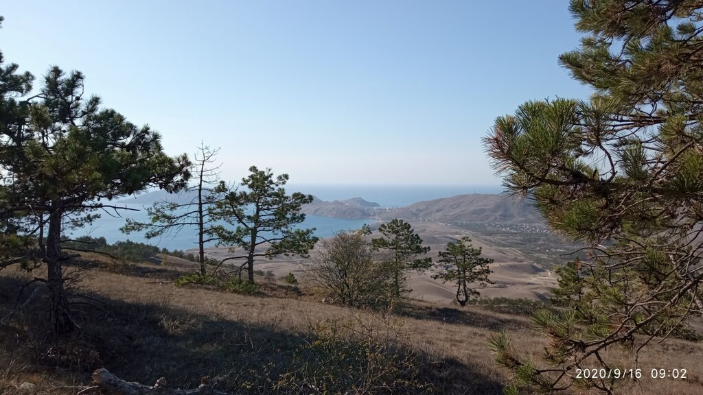 Конные прогулки в Коктебеле Крым