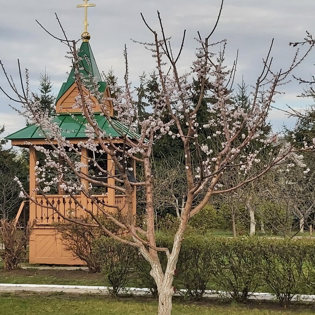 Monastery, convent, abbey Holy Dormition Princess Convent, Vladimir, photo