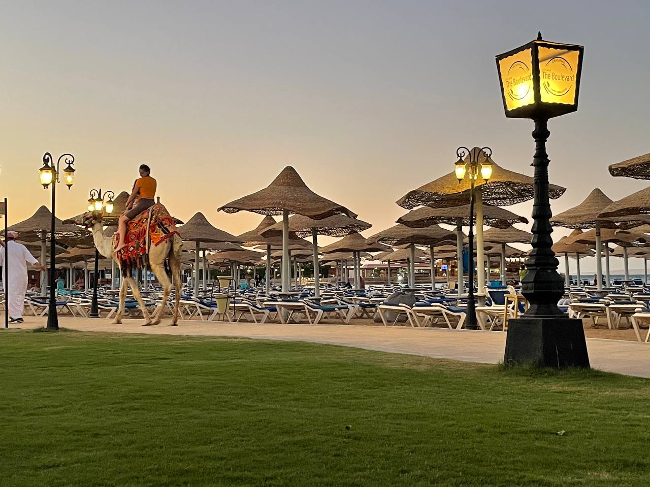 Фото Sunrise Mamlouk Palace Resort