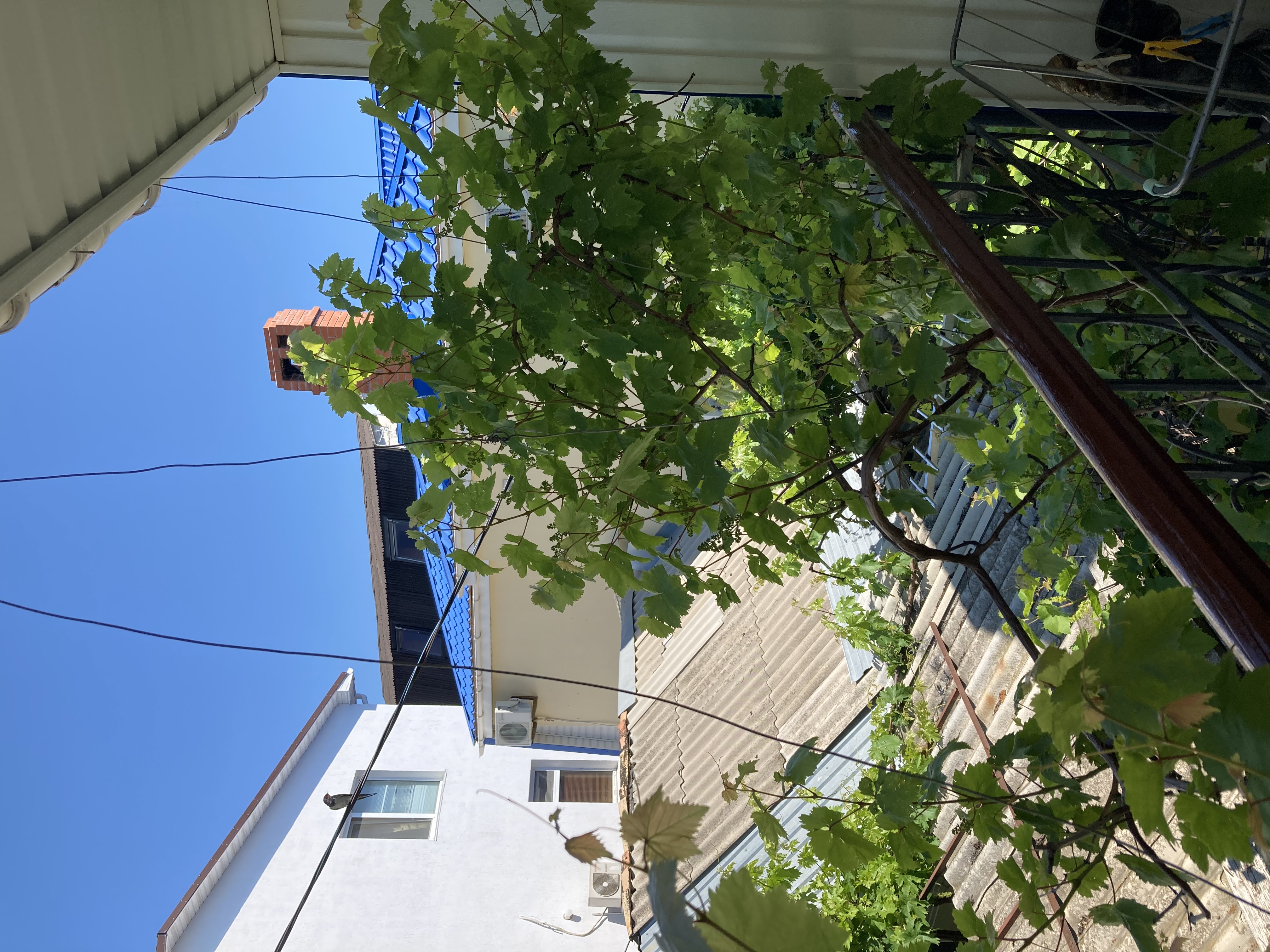 Фото Ривьера