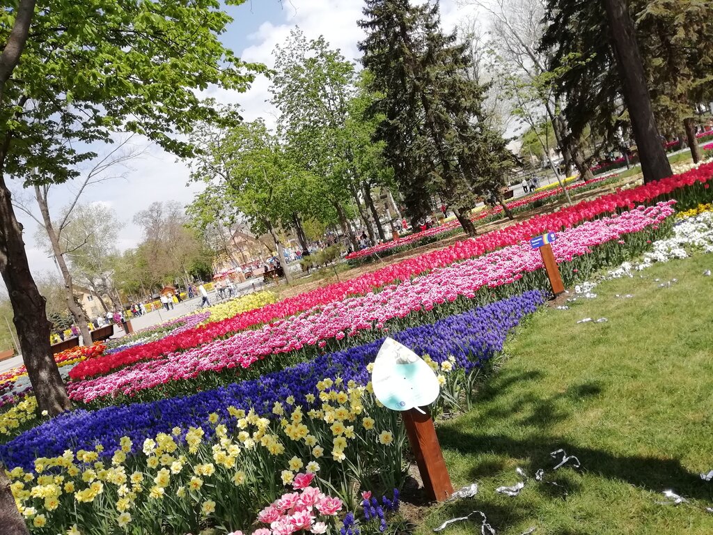 Park парк Веселка, Mariupol, photo