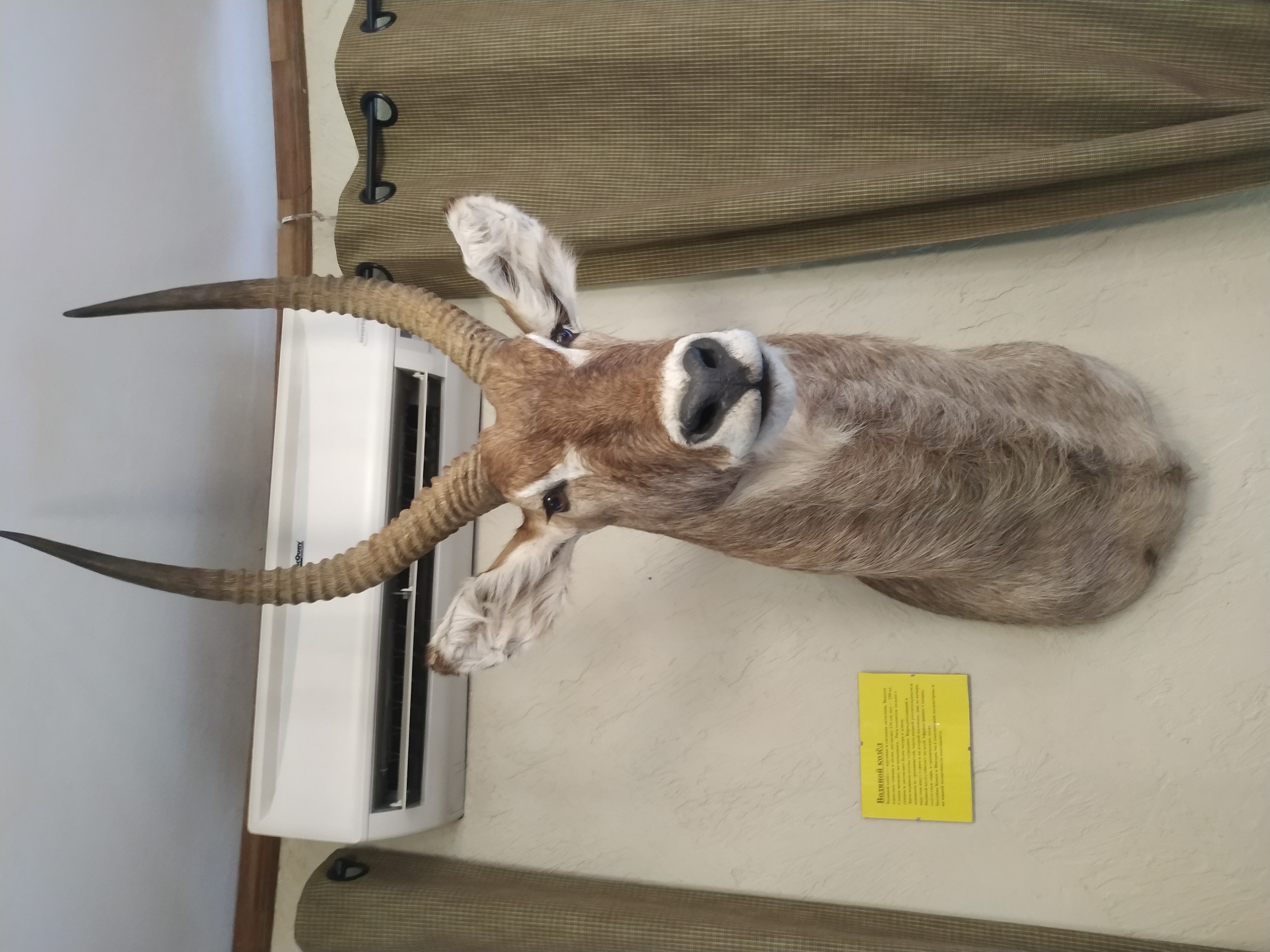 Фото Дом рыболова