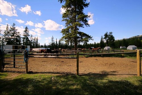 Гостиница Bedroll and Breakfast - Campground