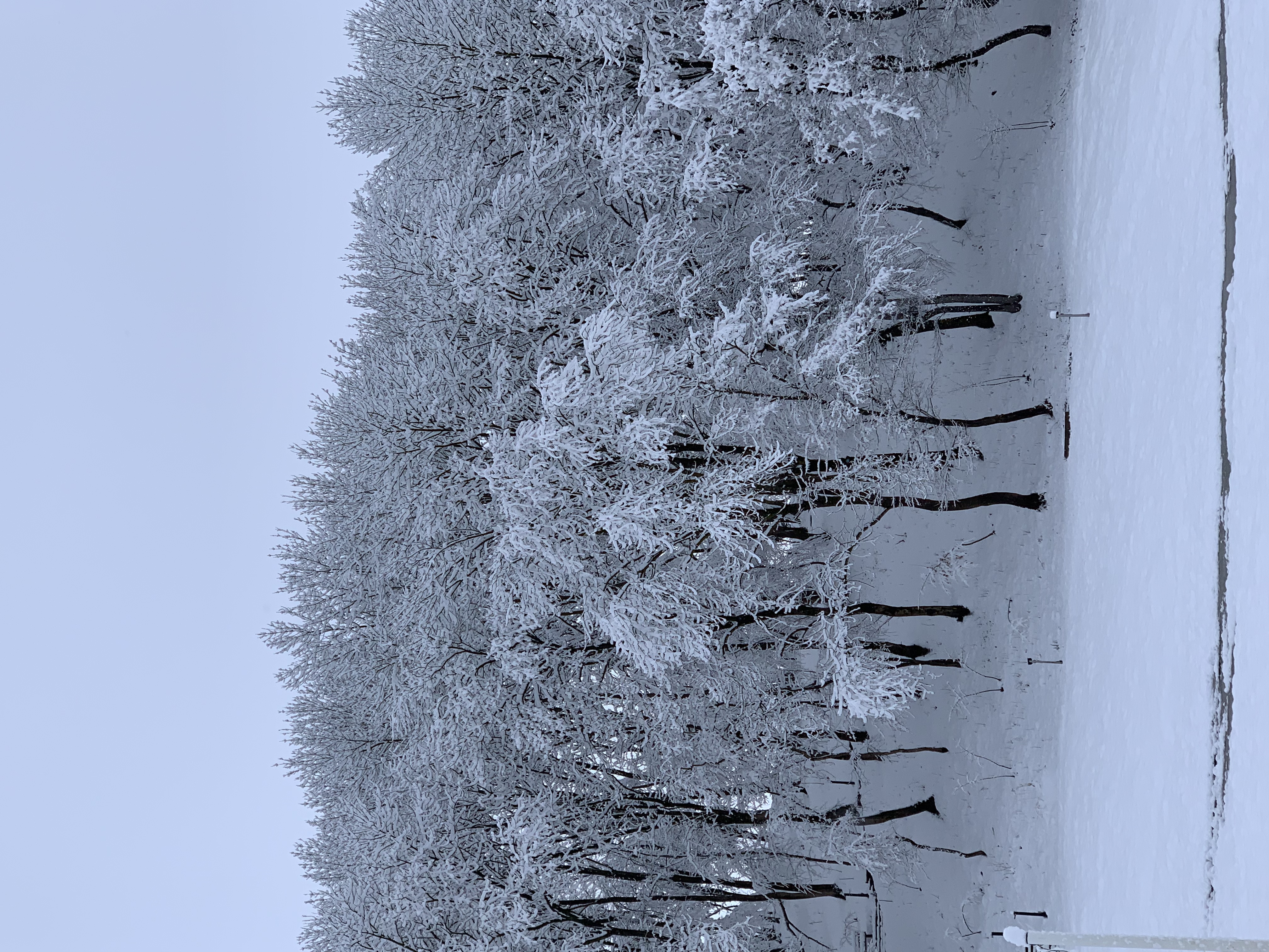 Фото Кремниевы термы