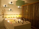 Planeta SPA (Samoylovoy Street, 3), beauty salon