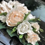 شعار