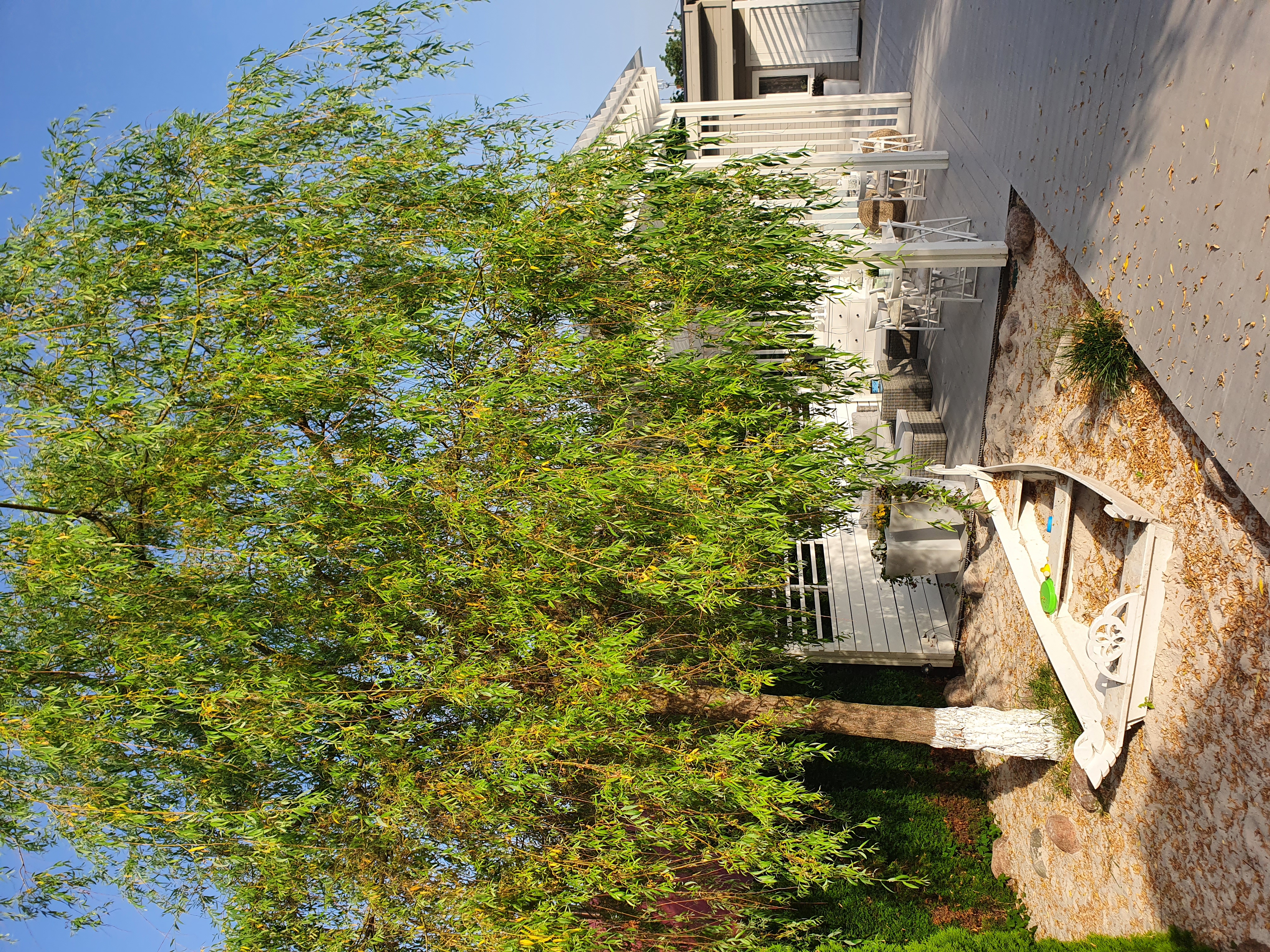 Фото Путь Пилигрима